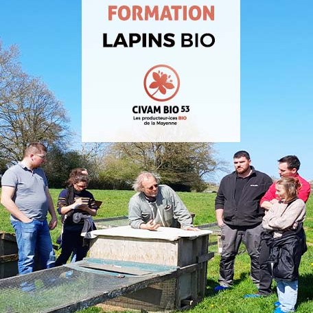Civam Bio 53 - 👉 Retour sur la formation lapin bio 🐇... | Facebook