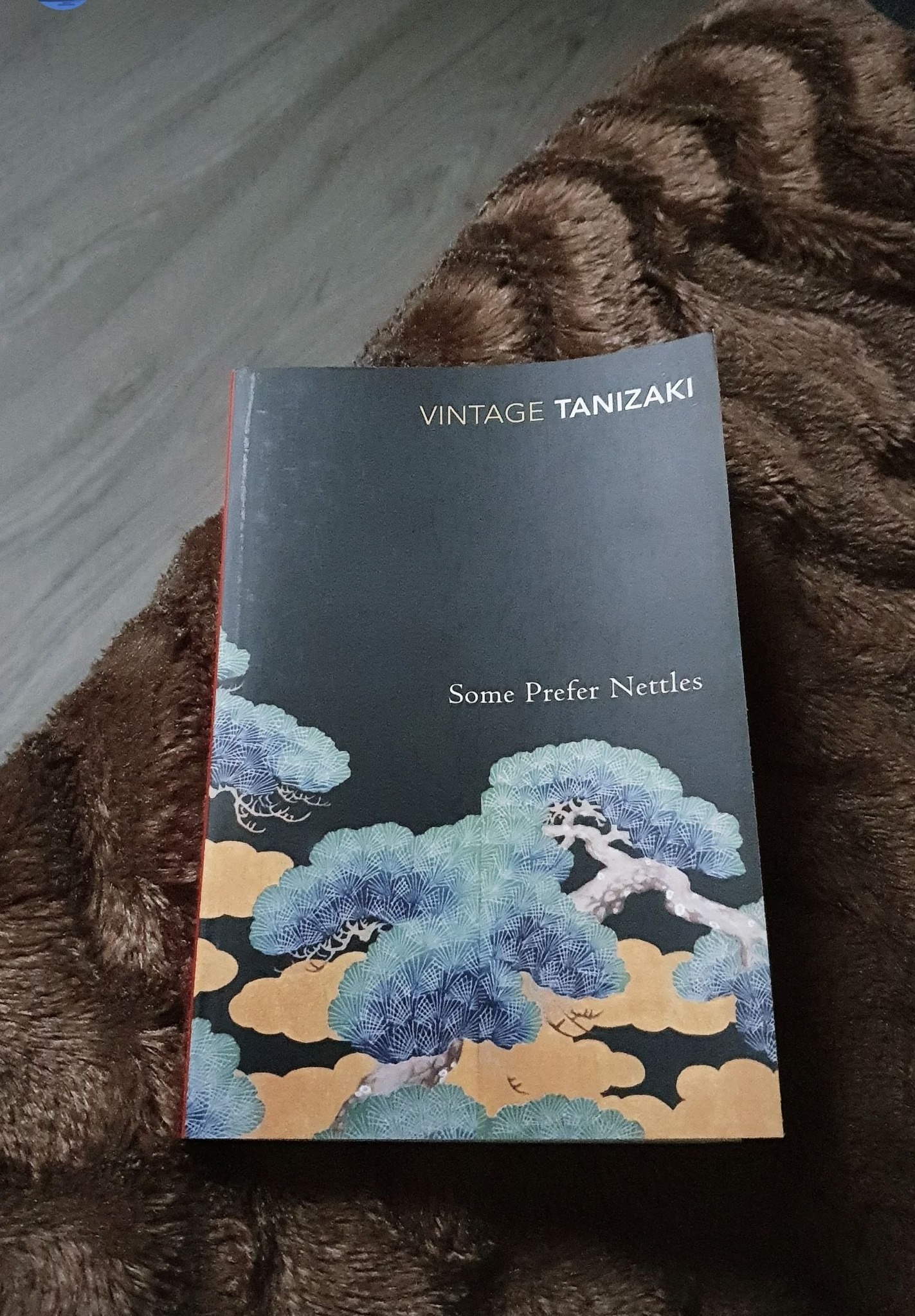 Review of Junichiro Tanizaki's Diary of a Mad Old Man