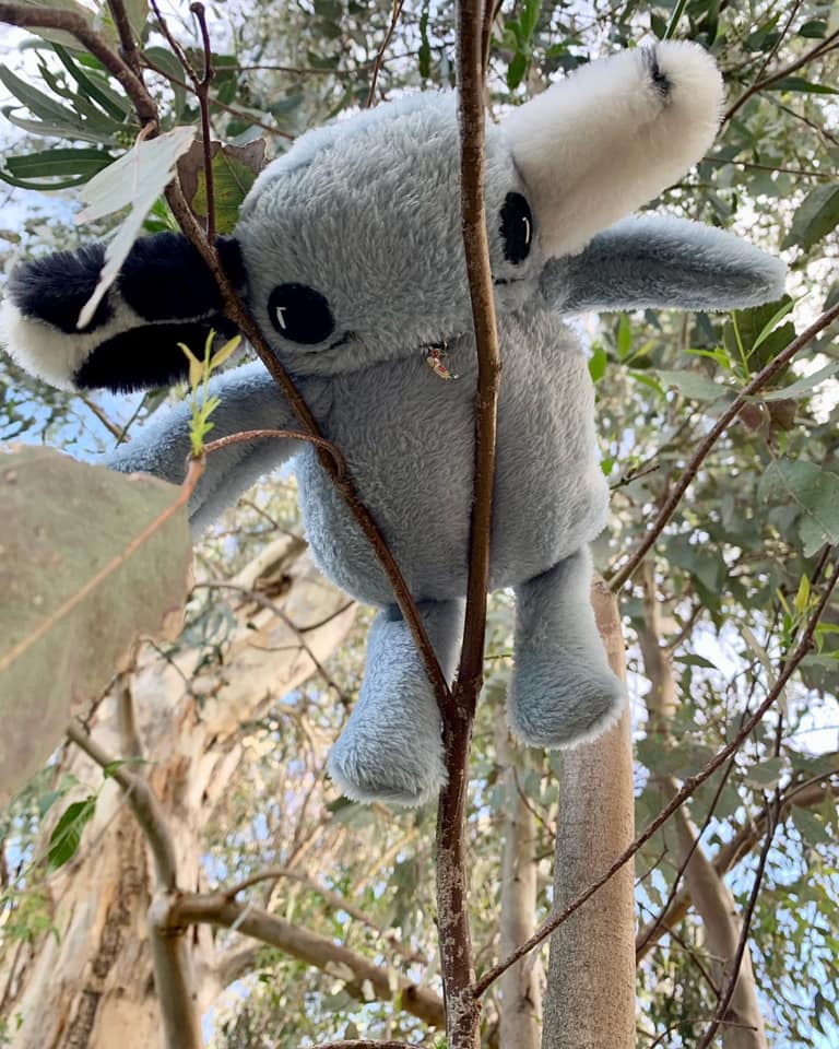 Bedtime Sammy plush supports mental health initiatives