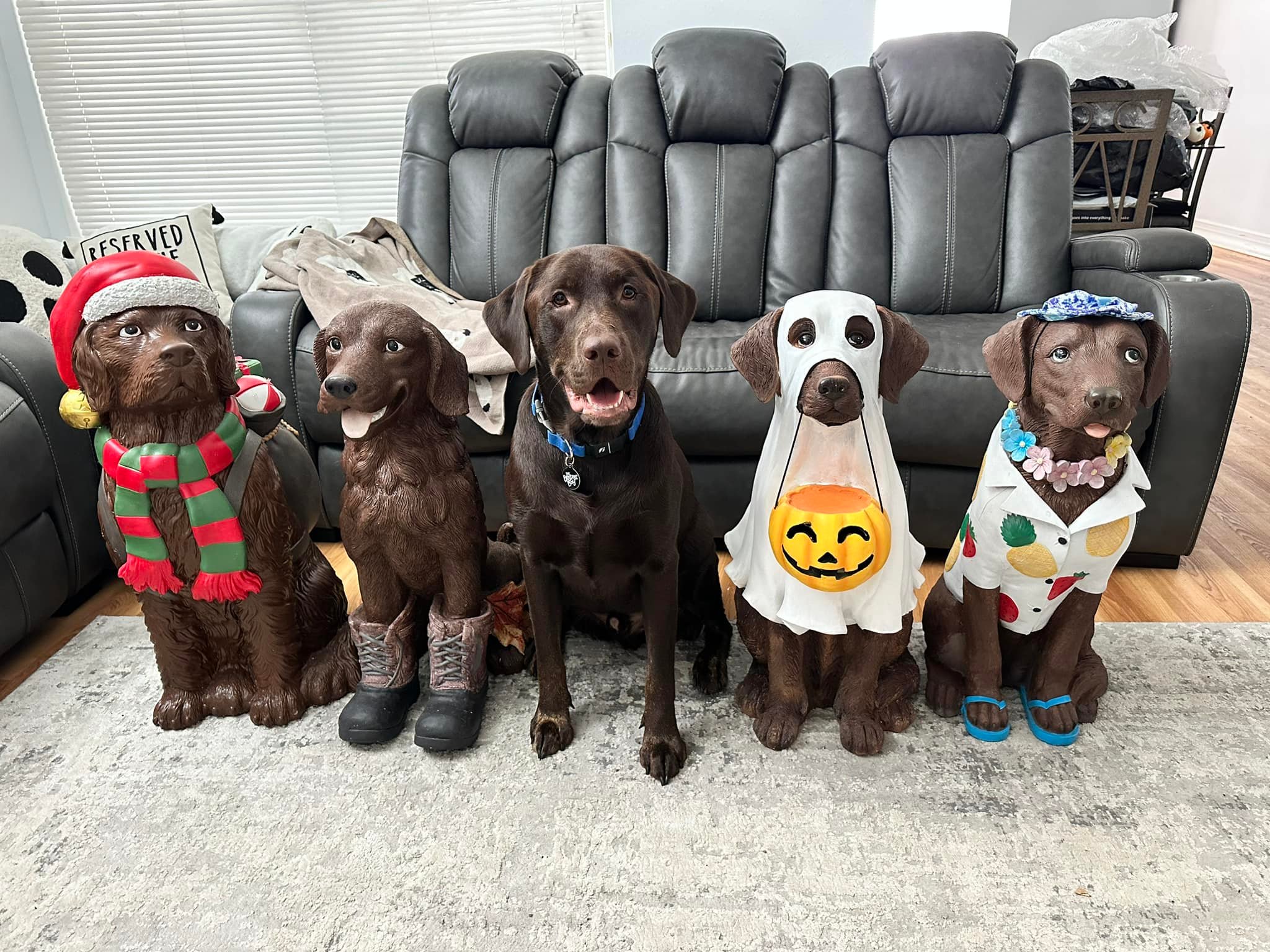 holiday dress up dog statue decorations for different holidays selects24