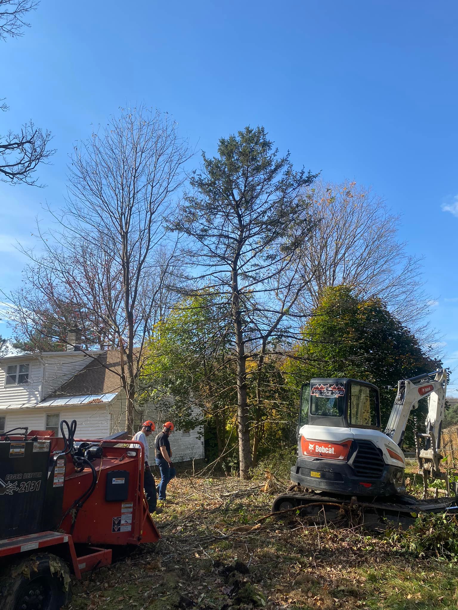 To The Top Tree Care LLC | Remsen NY