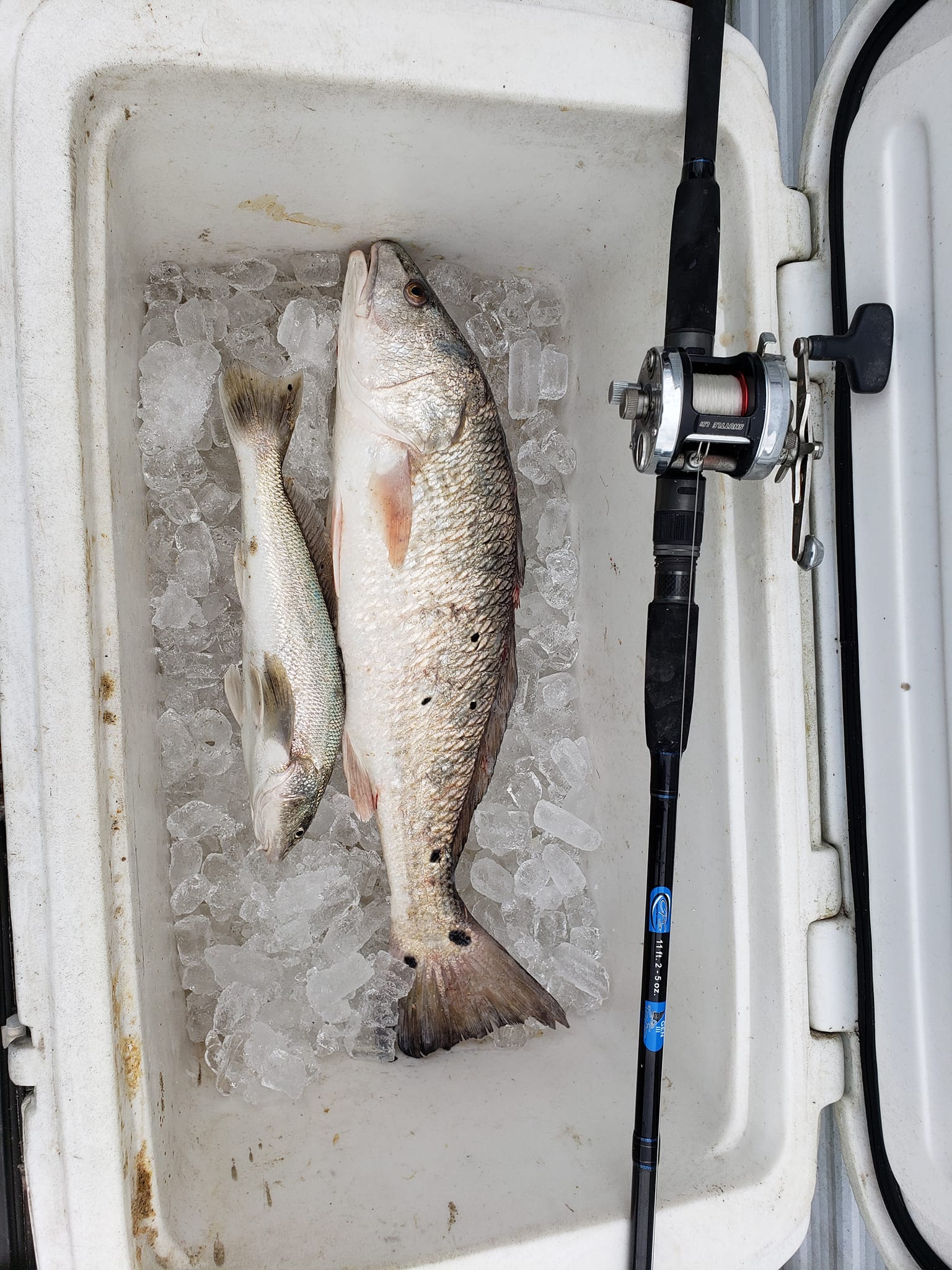 evenflo sterilizer bag directions Microwave Bags for Pump Parts and more BAIT Color:Sun Spot tie dye crossbody