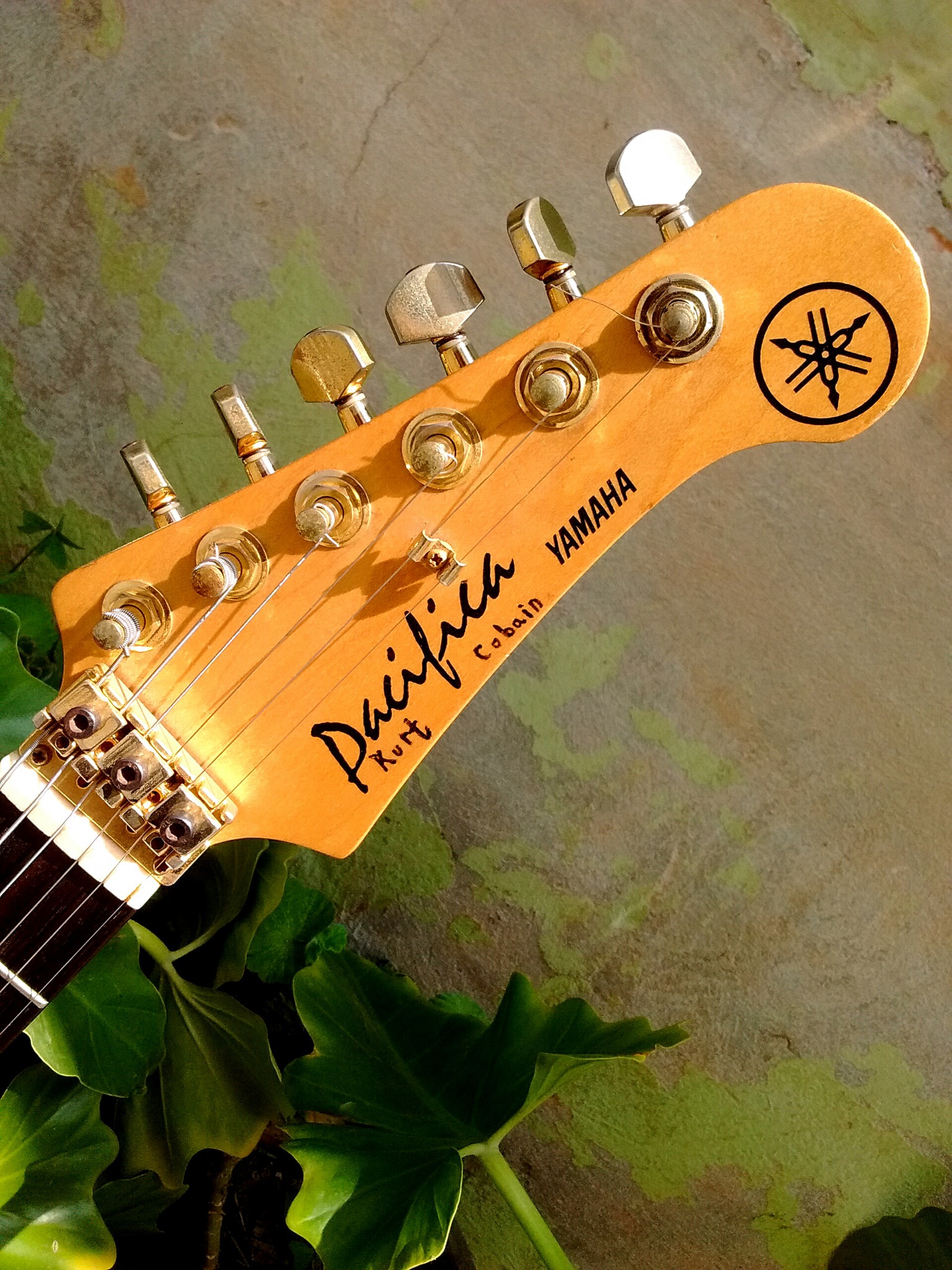 Yamaha PAC312 guitar with nice fingerboard grain