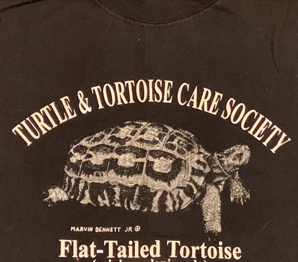 Vintage Madagascar tortoise t-shirts from the early 2000s