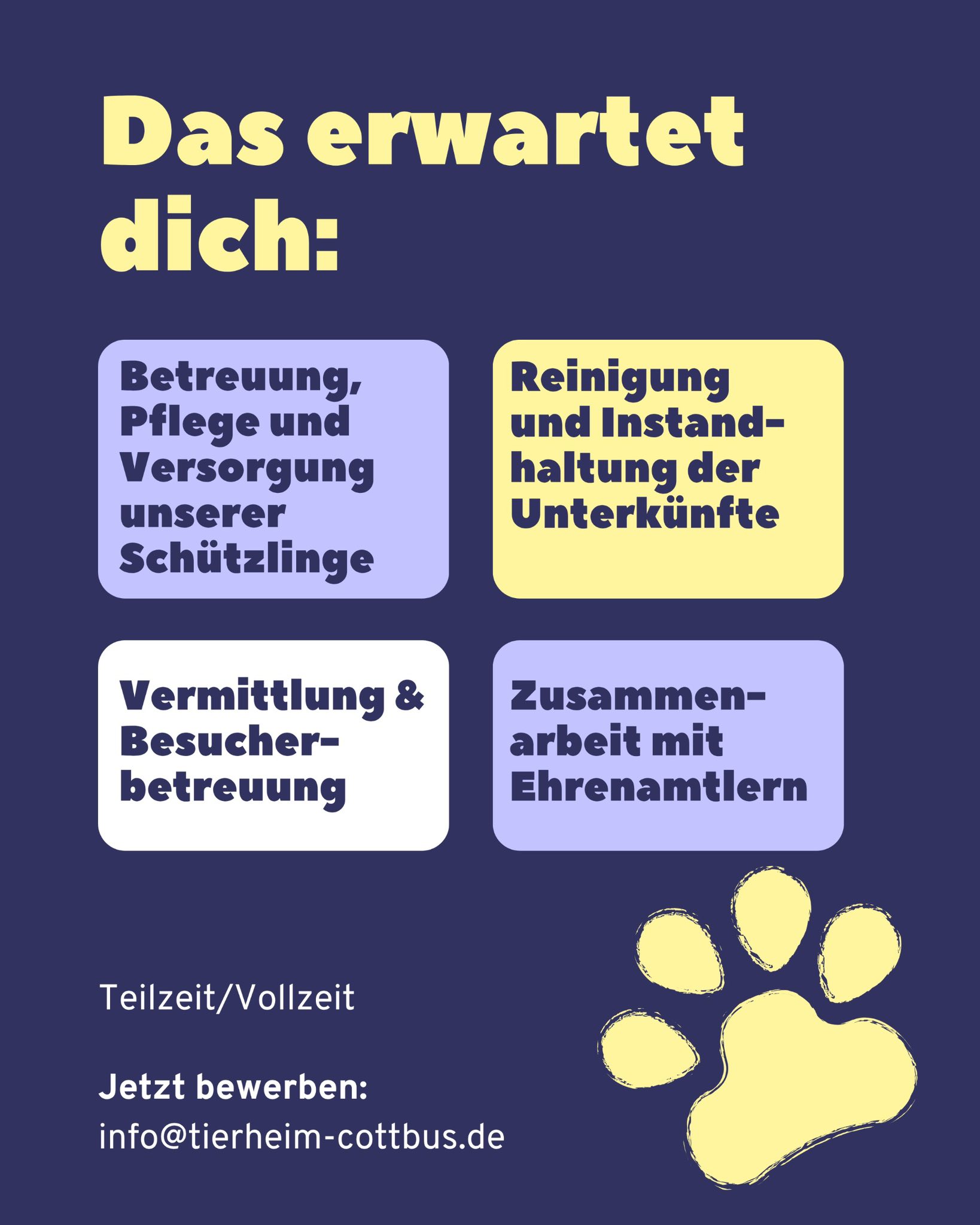 tierhe-tierheim-cottbus-und-tierschutzverein-cottbus-e-v