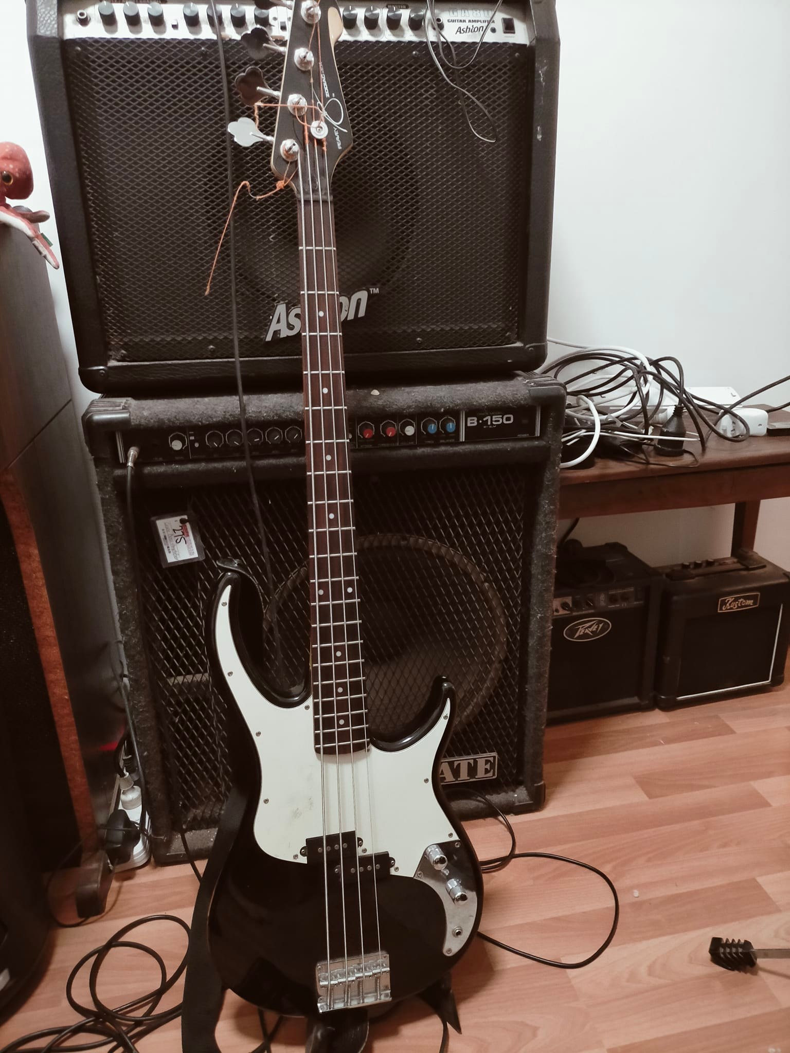 Hello, opinions on the PEAVEY Zodiac BXP?