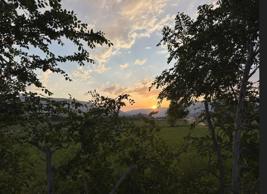 Joe's Valley Campground Info, Closures, and Nearby Camping Options