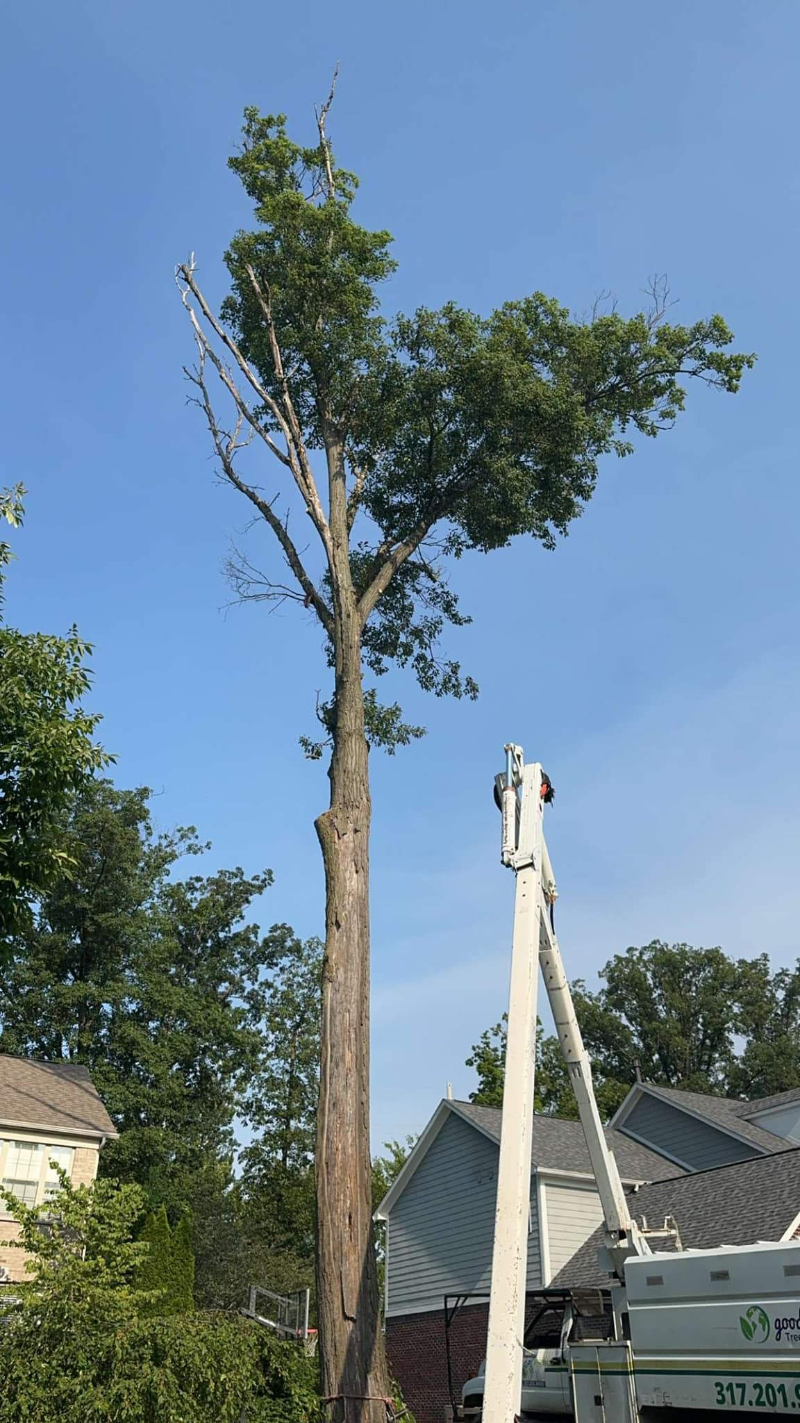 Good Air Tree Service LLC | Sheridan IN