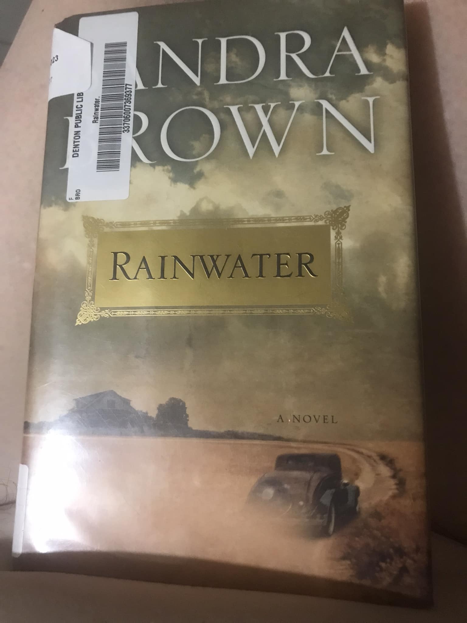 RAINWATER - Paperback By Brown, Sandra