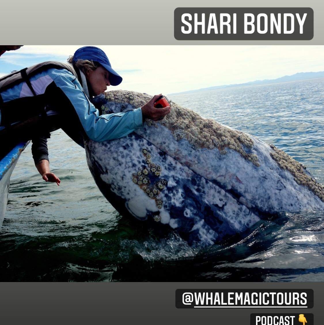 Shari Bondy - Adiós Rachel! Back to normal here in... | Facebook