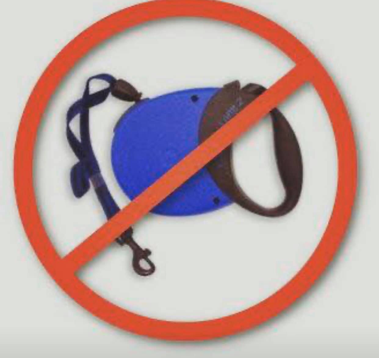 Efoil Solutions retractable leash works flawlessly