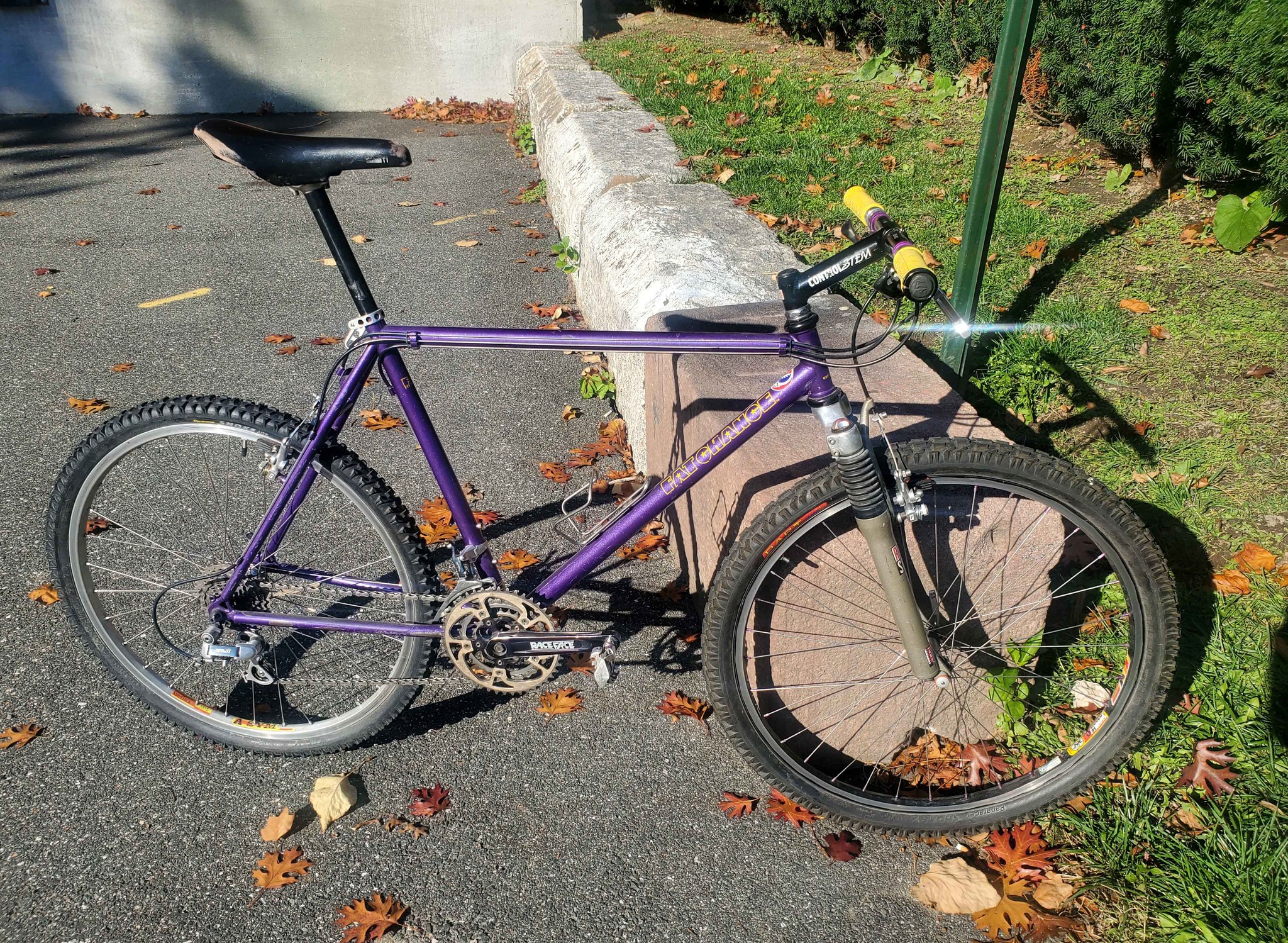 Fat Chance Wicked Lite 1993