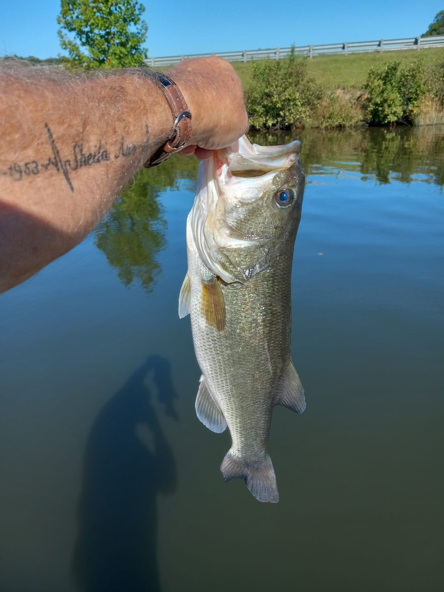 g loomis e6x kokanee rods Walleye WJR : Sports & Outdoors TOOLS FLY BOXES & NETS Size:8x5 Bass Advantage Drop Shot Taper Design takes it