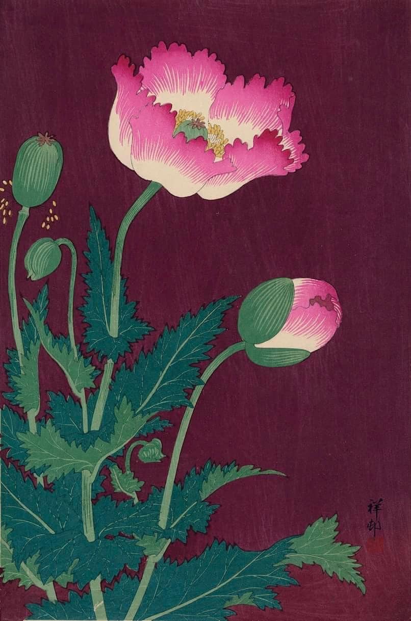 Poppies' (ポピー), 1925, by Takashima Yajuro (高島野十郎, 1890