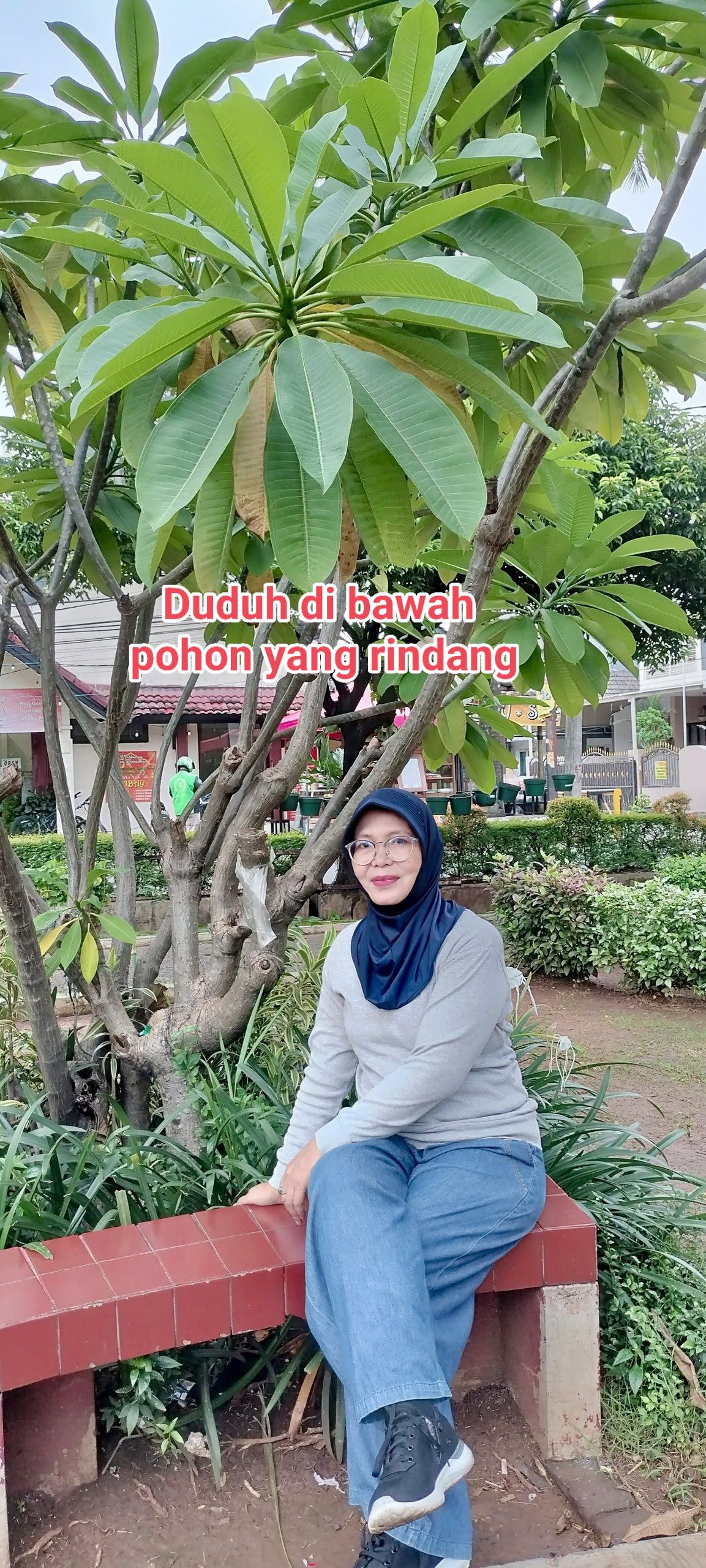 Nie - Pohon rindang adalah pohon yang memiliki banyak... | Facebook
