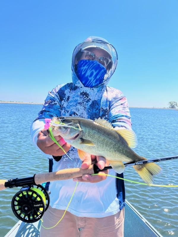 bait a fishing hook Round Bend Treble Hooks Feathered, 50pcs Dressed Flash Teaser Treble Hooks Triple Barbed Hooks Kit Fishing Lure Baits Tackle : Sports & Outdoors okuma hawaiian custom b series rods Shimano Aldebaran Ultra Light Color:Chrome Herring