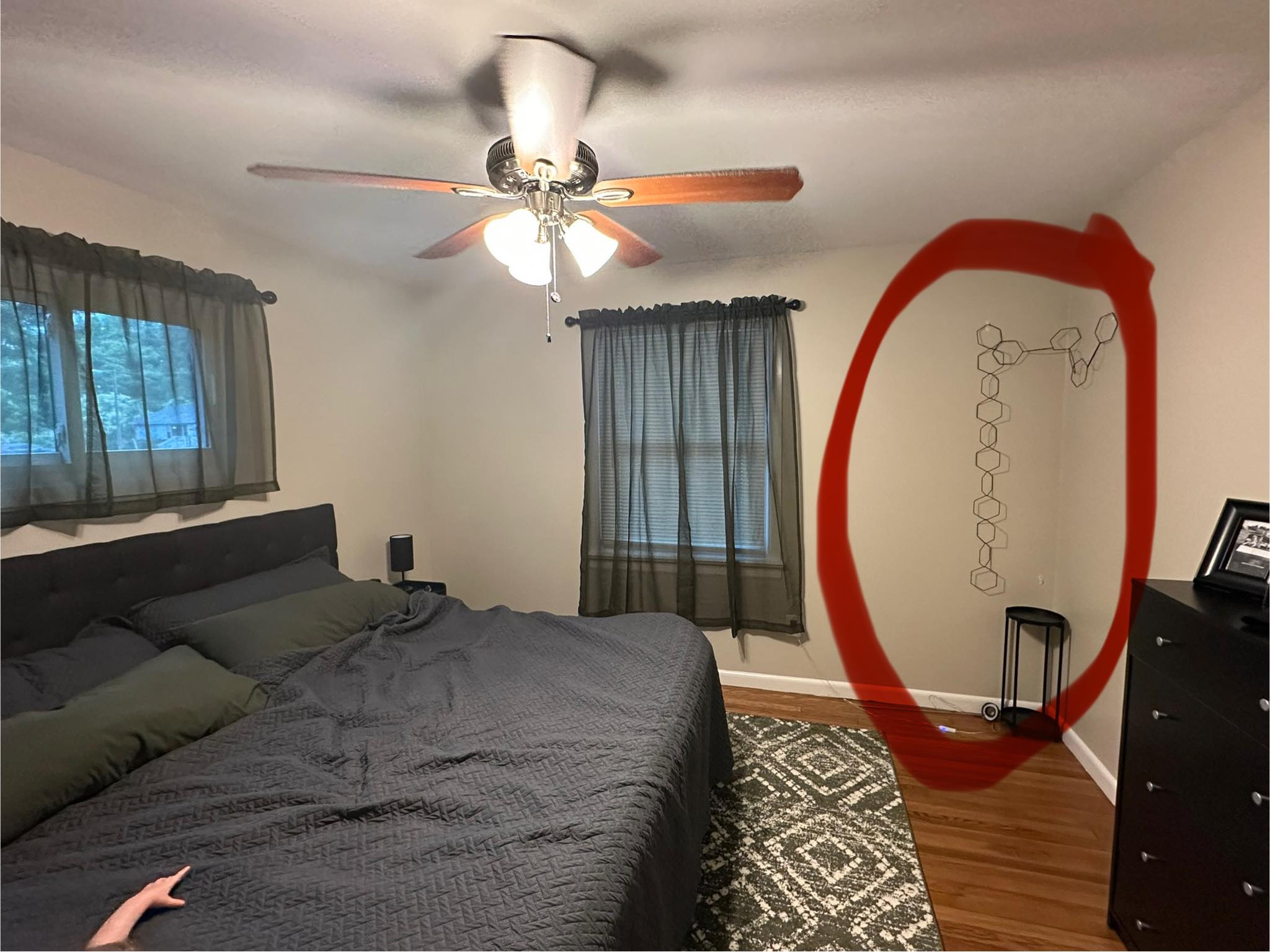 What indoor plants survive in challenging rooms?