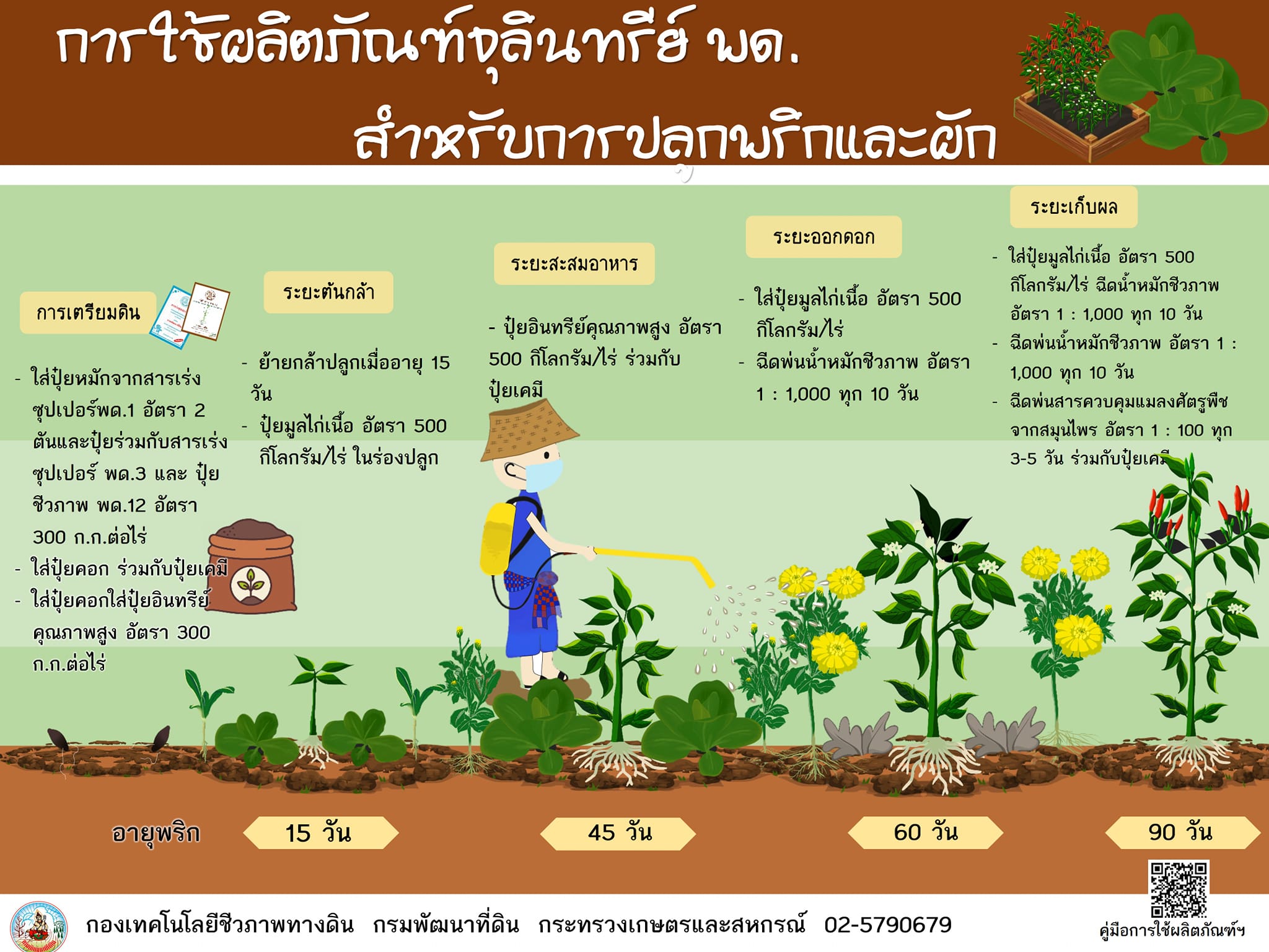 14 มหัศจรรย์ แลกเปลี่ยน เรียนรู้ การใช้สาร เร่ง พด. | อยากปลูกผักแต่ไม่ ...