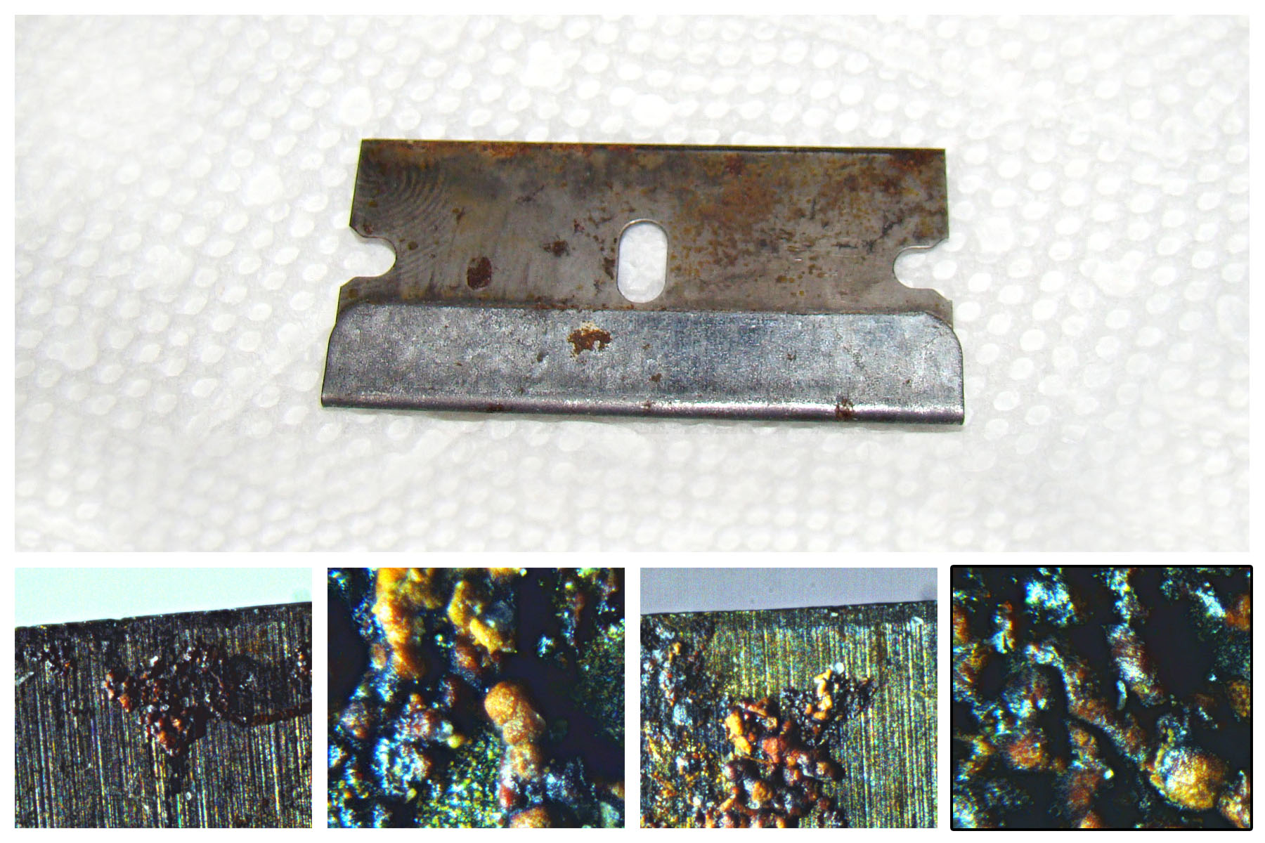 Amateur Microscopy | Just a little closer look onto my general use ...