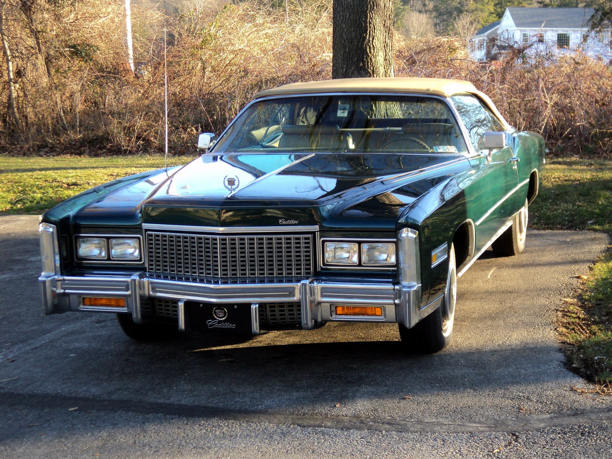 Cadillac - Happy St. Patrick's Day from the lean, green drivin