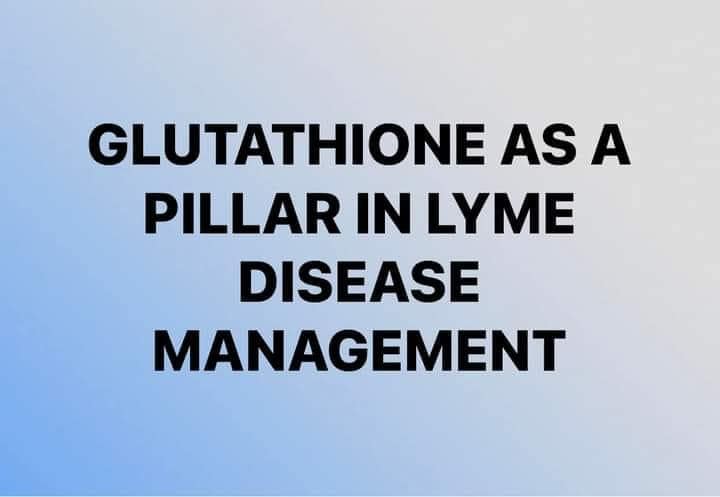 How does glutathione help with lyme disease?