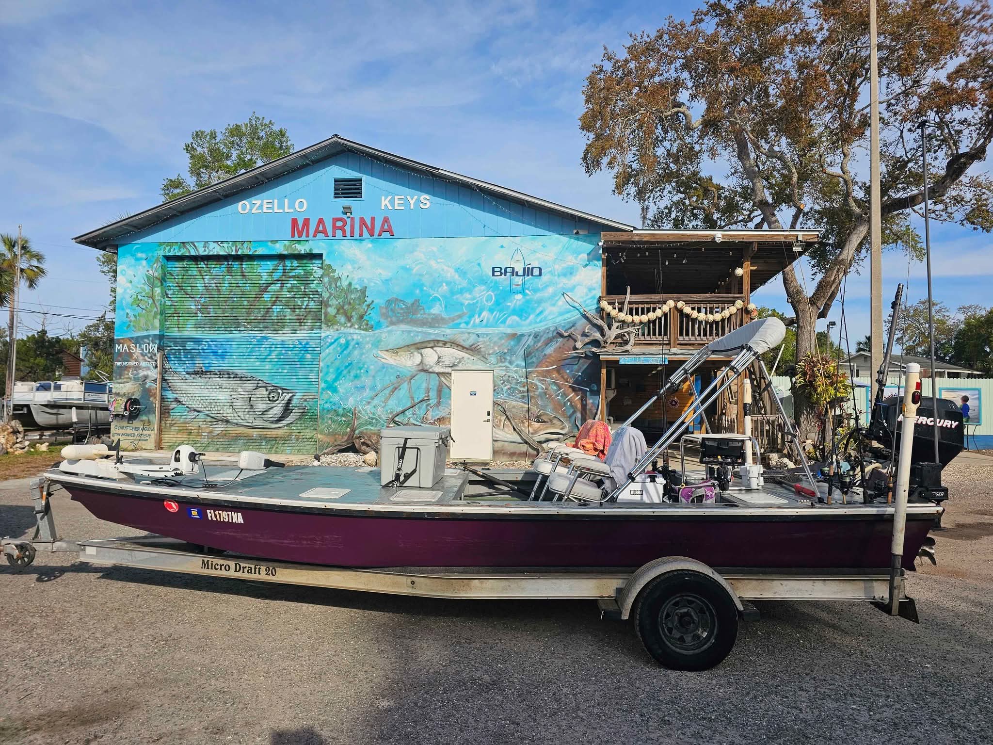 2005 microdraft 20