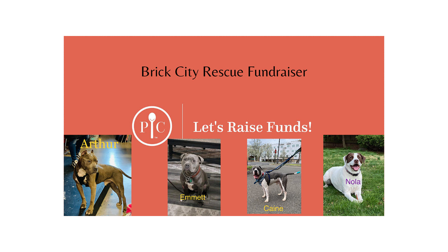 🐕‍🦺Brick City Rescue Fundraiser #3 with all NEW spring/summer products🐕