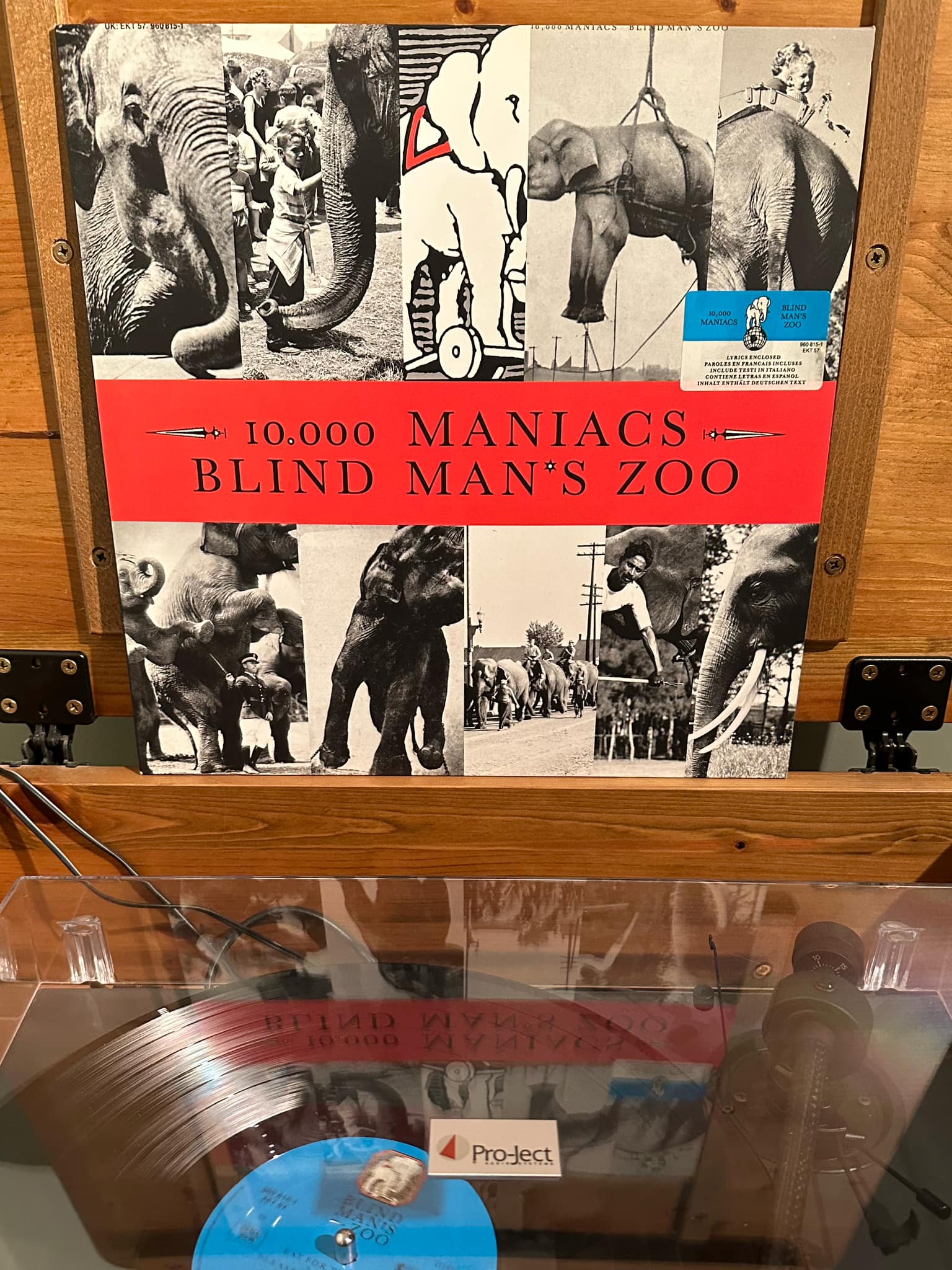 10,000 Maniacs