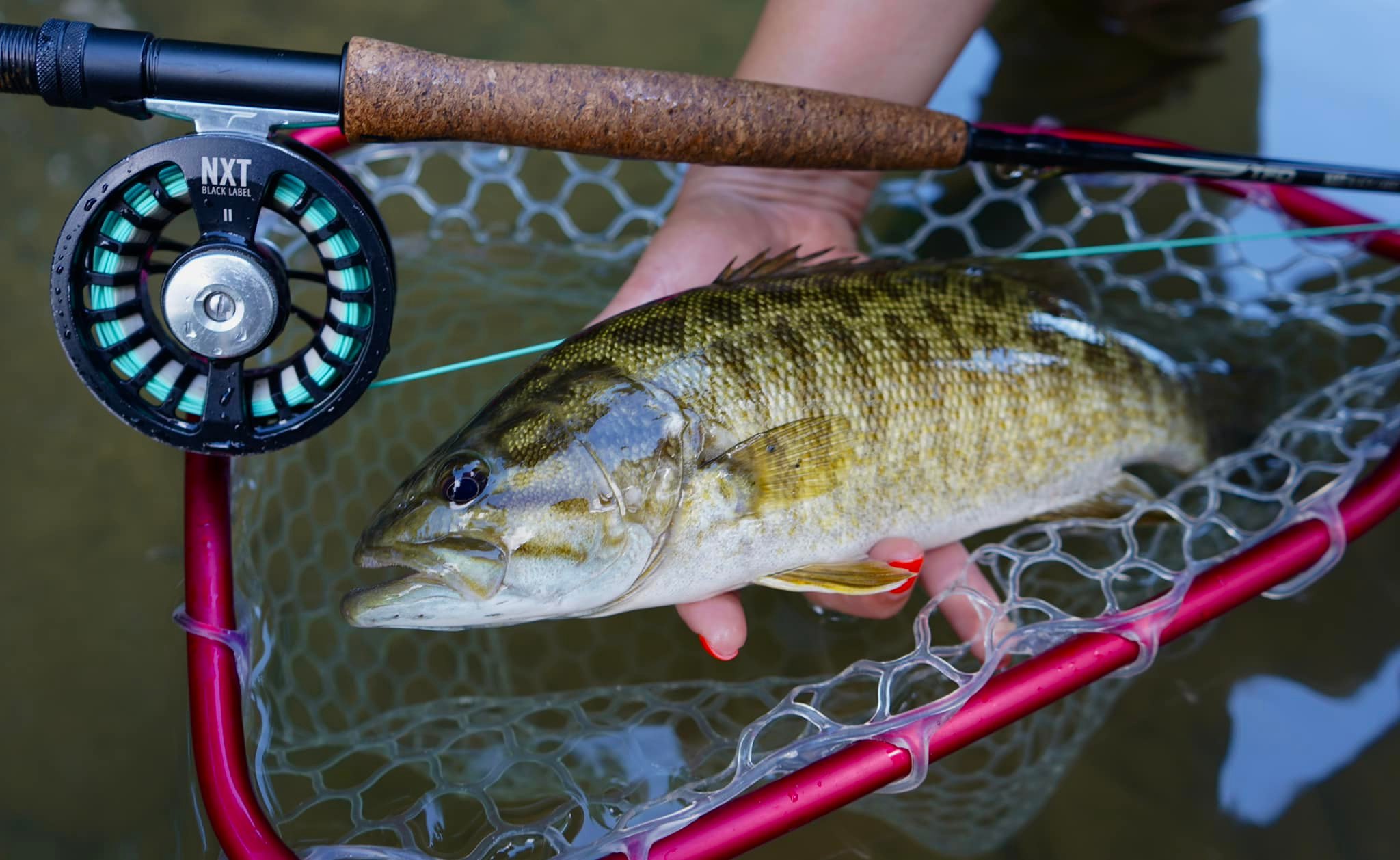 5wt fly rod max fish size The Flinger Pro  9' Fast Action Fly generation materials can elevate your time on the water A 5wt flyrod is great