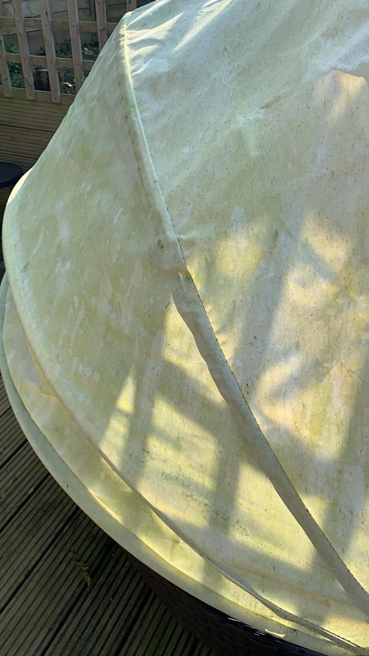 green algae on patio umbrella and White Petal Scallop Outdoor How do I clean green