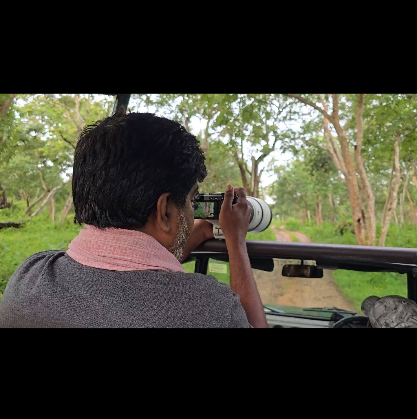 Majestic Tusker Encounter at Bandipur Forest ##shorts #trending #viral ...