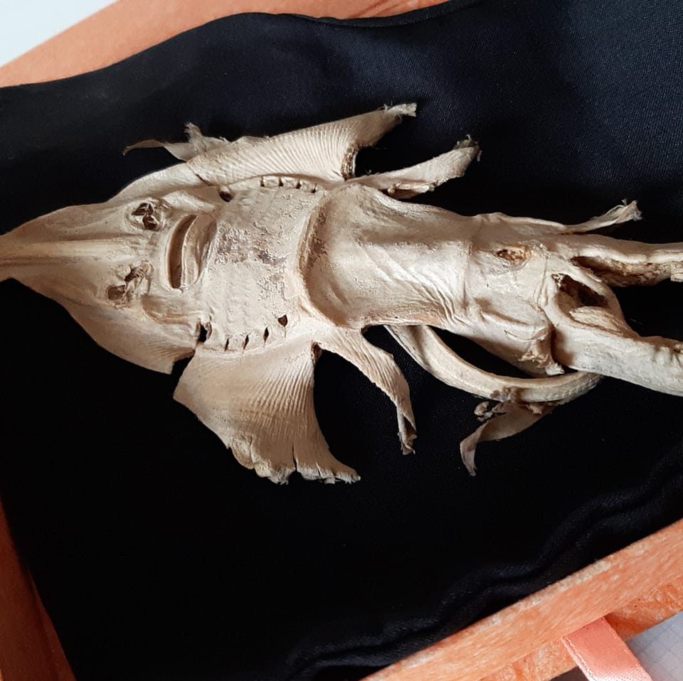 fotomontaggi amatoriali | Siete bravissimi e vi chiedo un ricordo di ...
