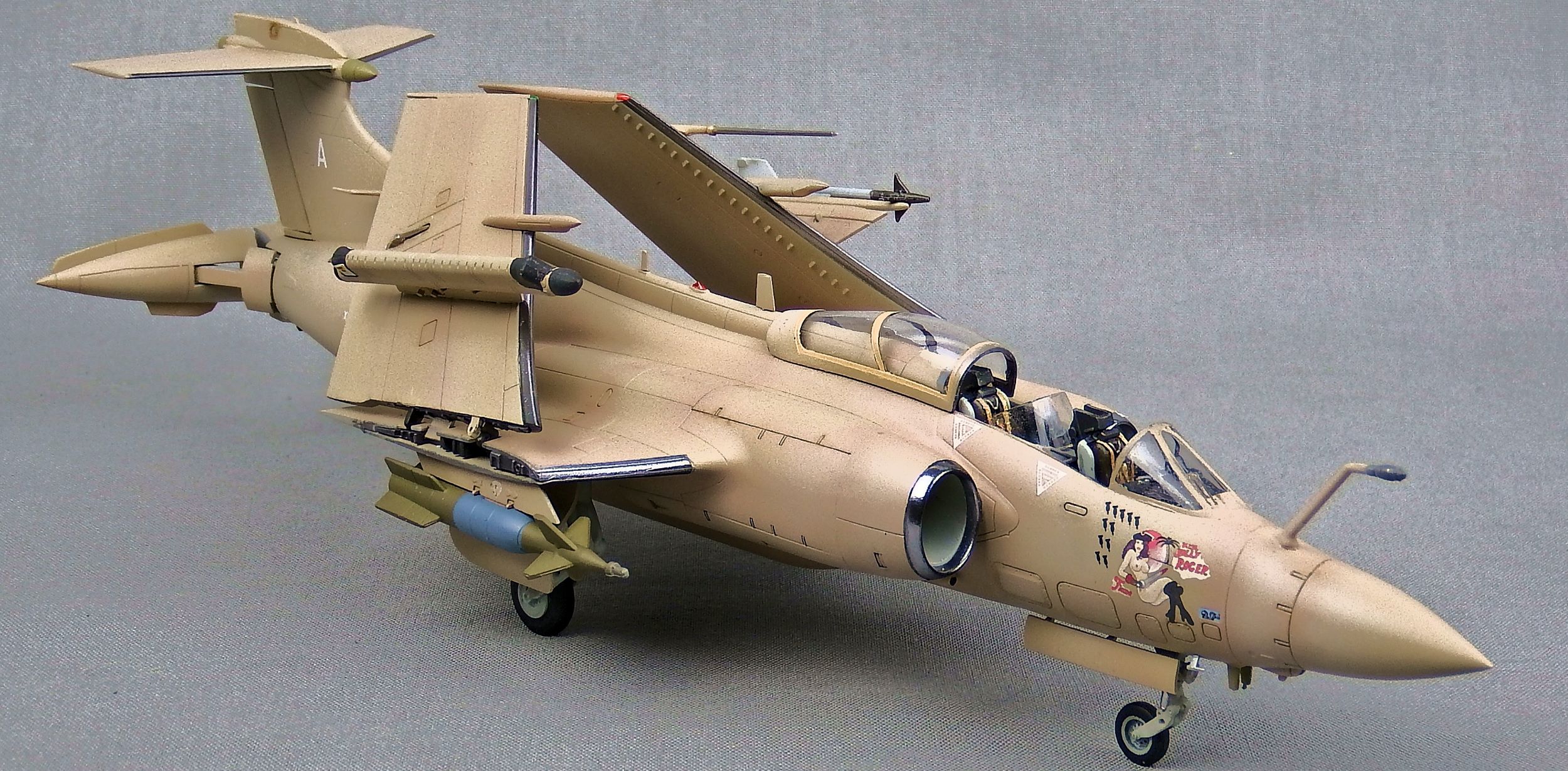 Airfix 1/48 HS Buccaneer (2 in 1 kit). OOB and hand painted