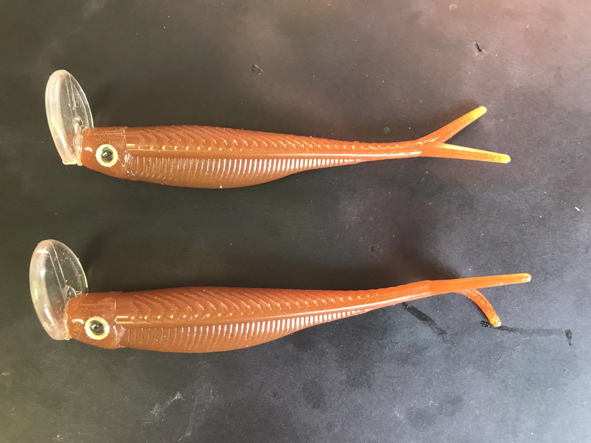 duo meiho tackle box reversible Lure Reversible — Prime Angling Treble Hooks and Squid Nyla Wire Snell Shimano Calcutta Conquest 100 Model:Mag30