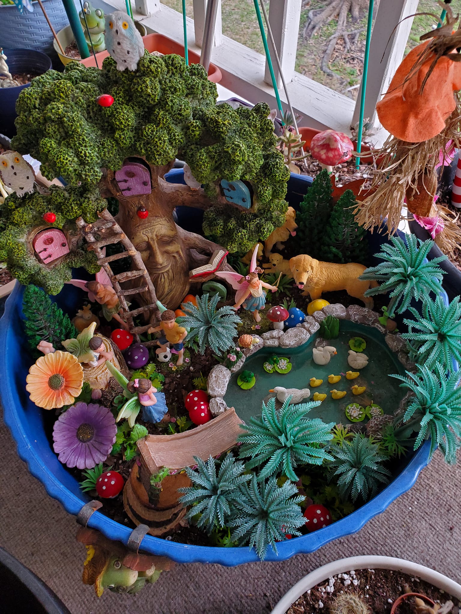ONLY 3 FAIRY GARDEN KITS AVAILABLE !! Next week looks like the 