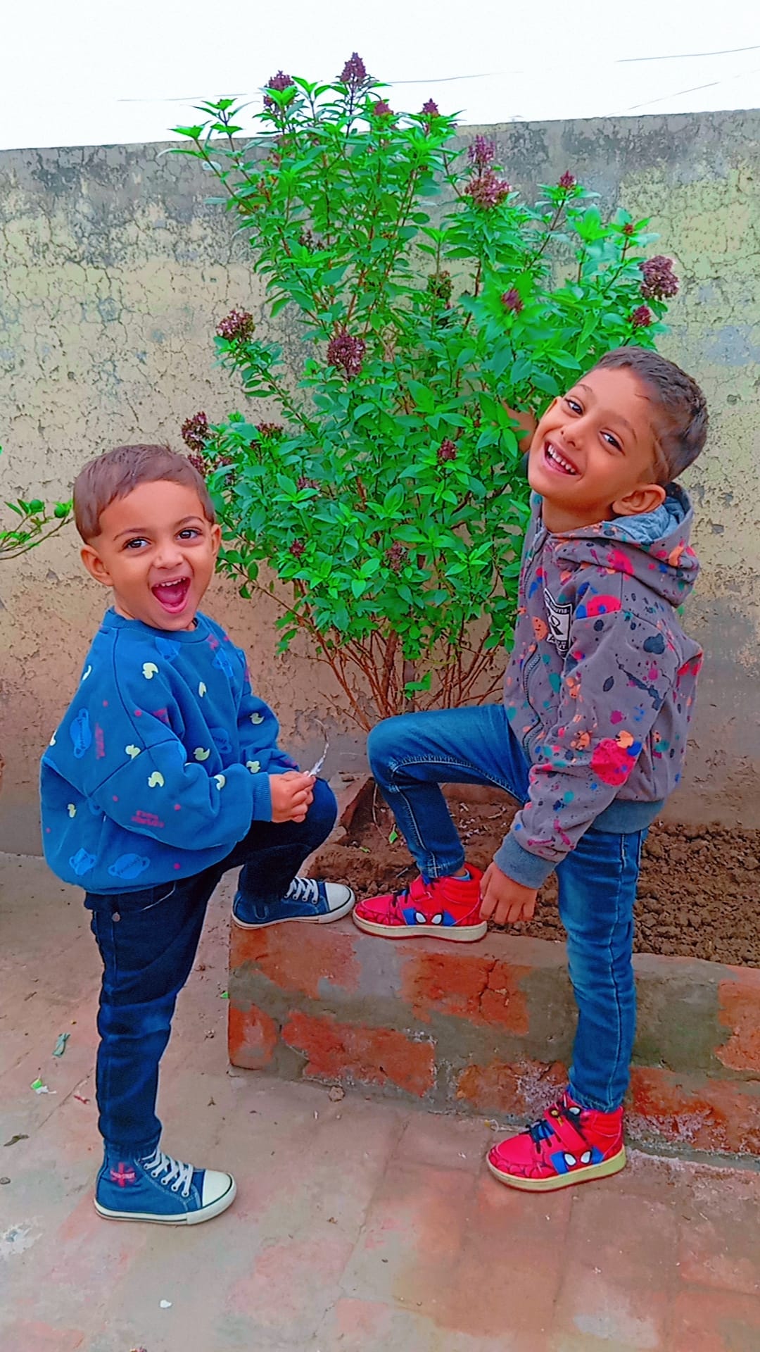Raheel Jutt