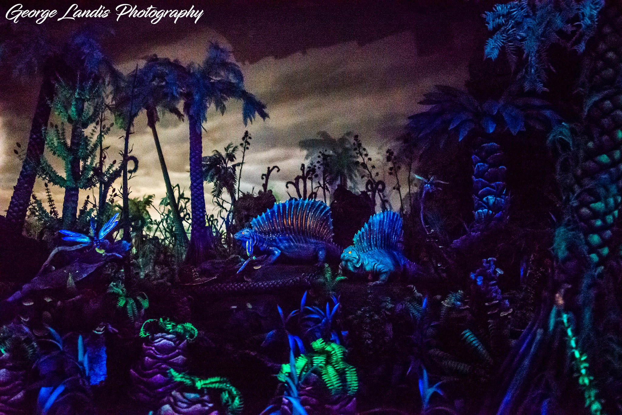 Nikon D750 with 28mm f1.8 lens at Disneyland
