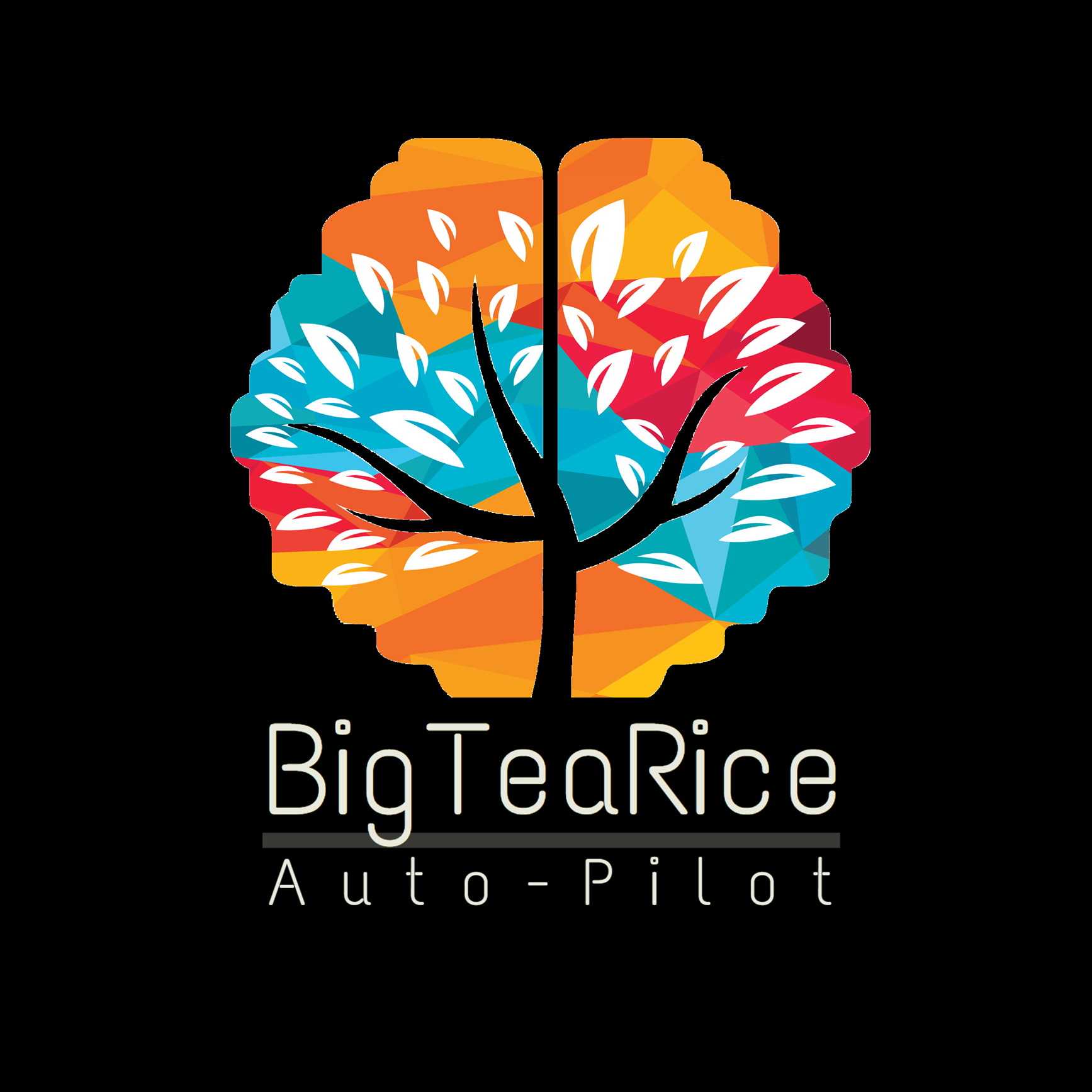 Big Tea Rice Team