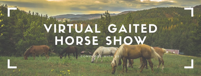 Virtual Gaited Horse Show | Facebook