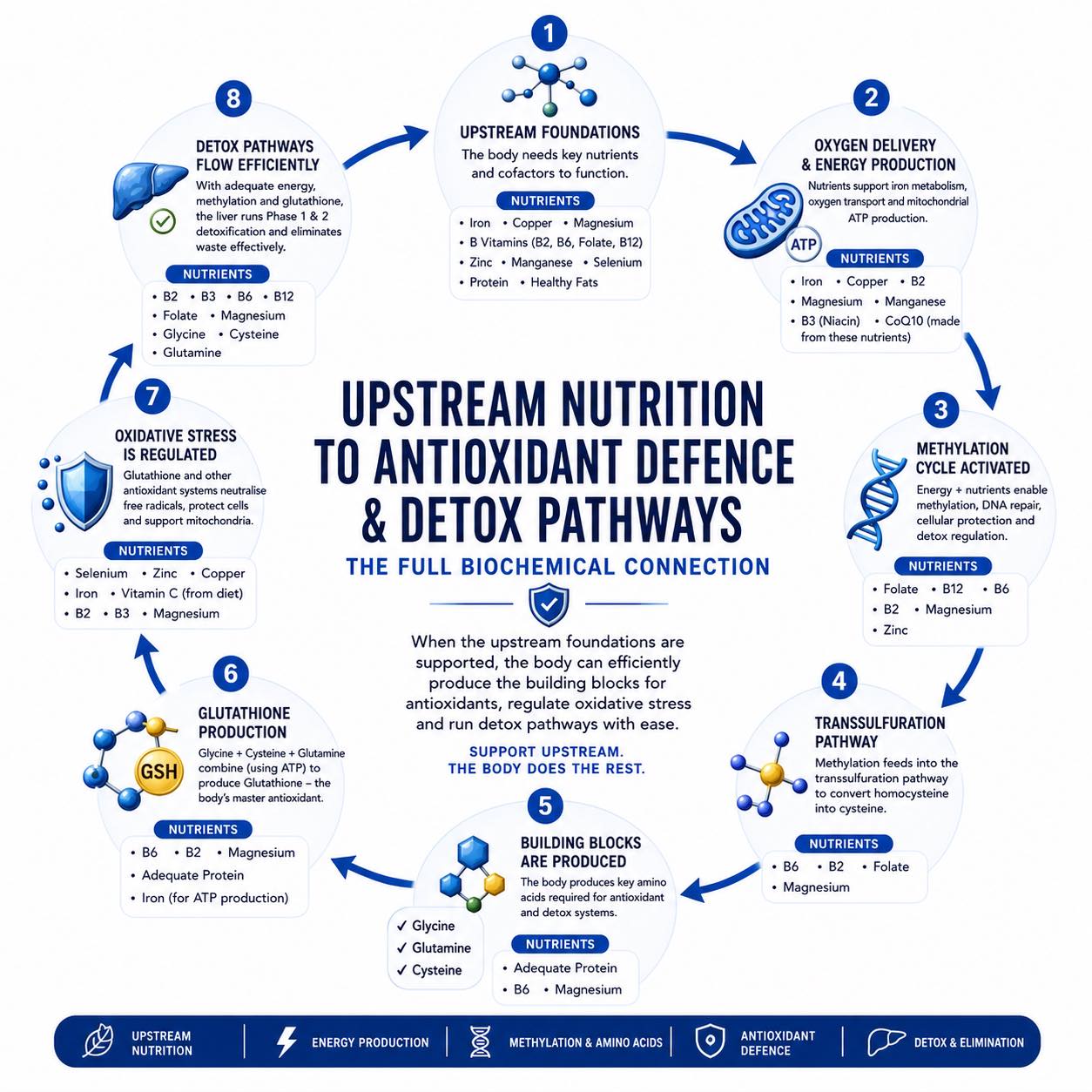 glutathione precursor msm INFLAMMATION…and antioxidants ** The whole body can be affected by internal inflammation. The liver needs to help reduced inflammation that is simply generated by everyday normal LIVER DETOX. **Useful ANTIOXIDANTS include:** *… term cellular resilience and Optimal Health System L-glutathione Softgel Capsules at Purchase Type:Single Product