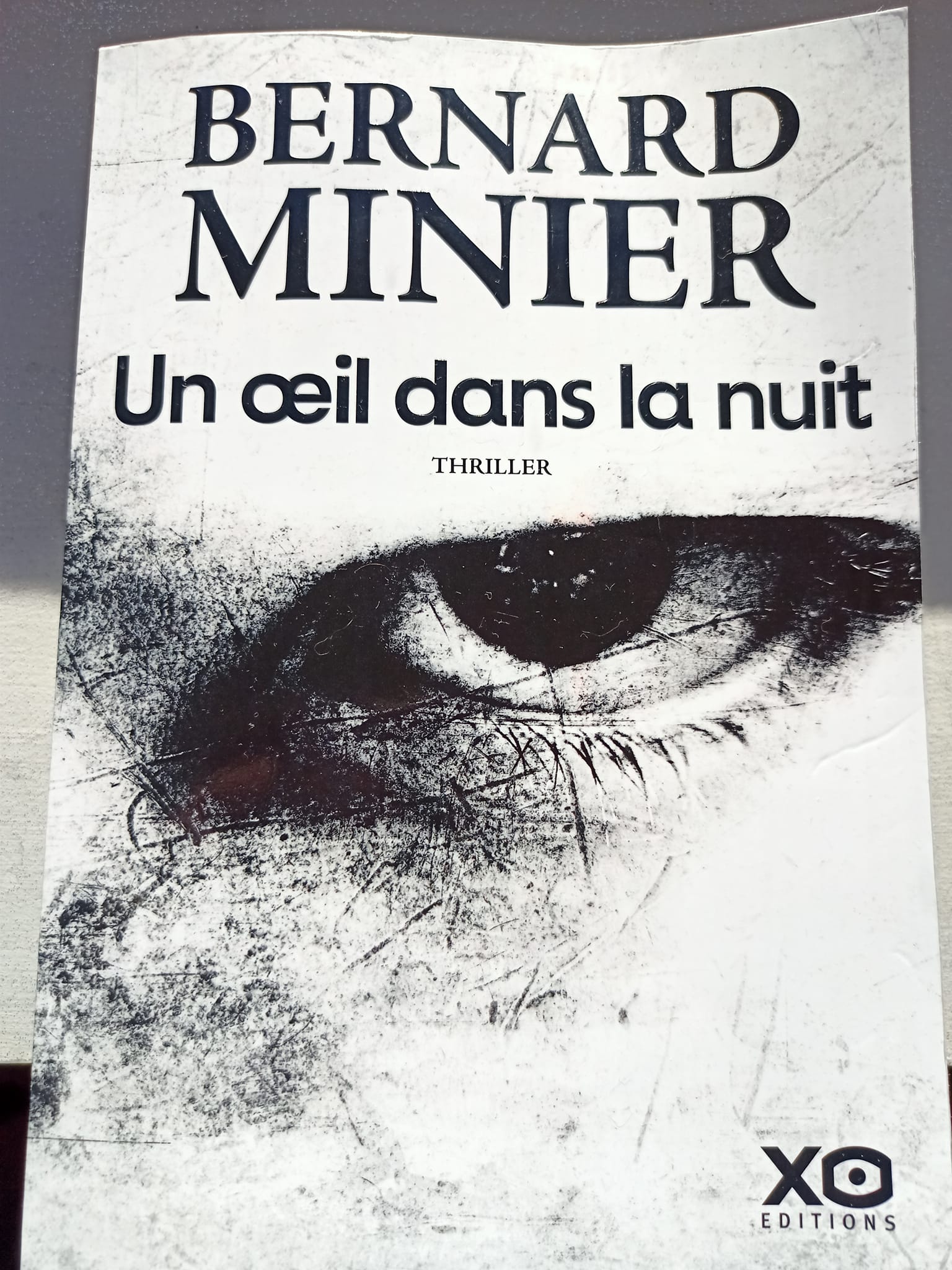 Gore, autopsie d'un cinéma, de Marc Godin, est un livre important