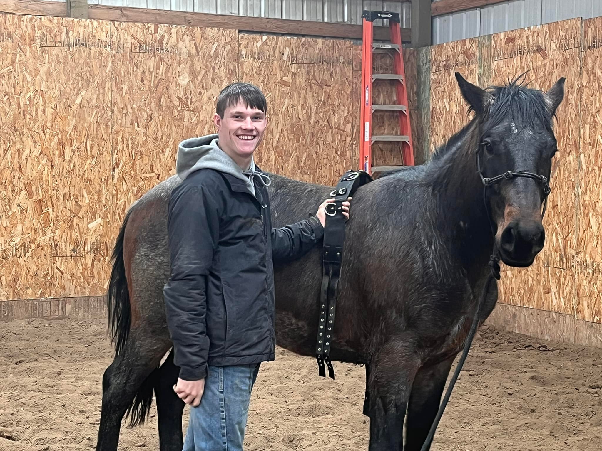 Roaring Springs Ranch Quarter Horses | Frenchglen OR