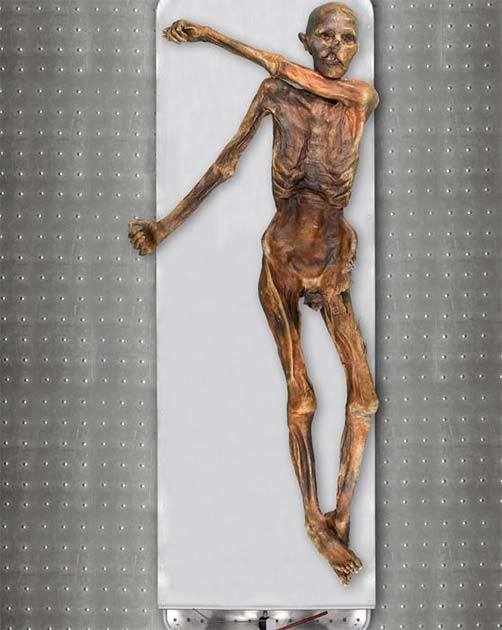 Ötzi, the 5300-year-old mummified “iceman” found in a glacier in