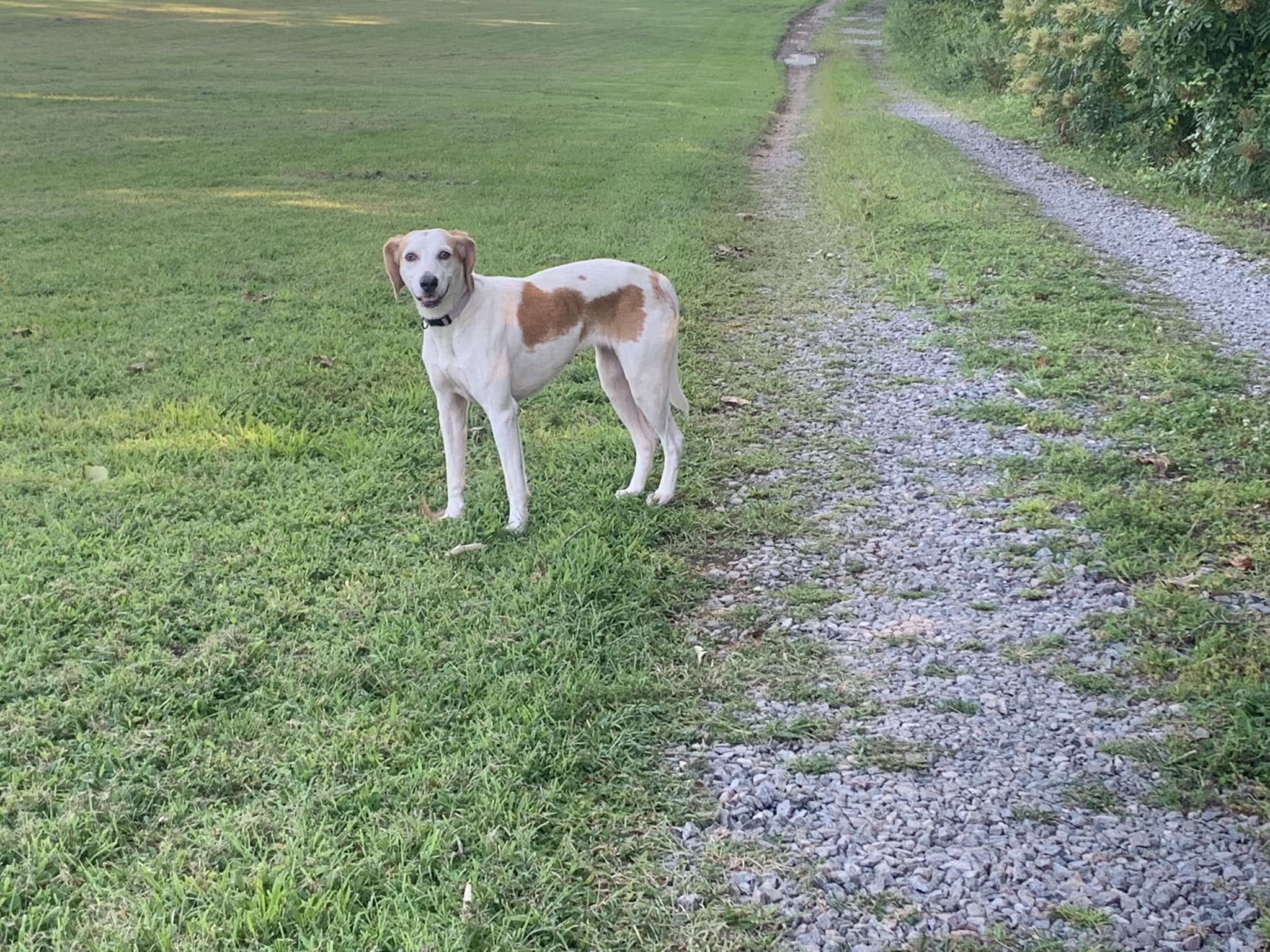 Smokey Ridge Farm