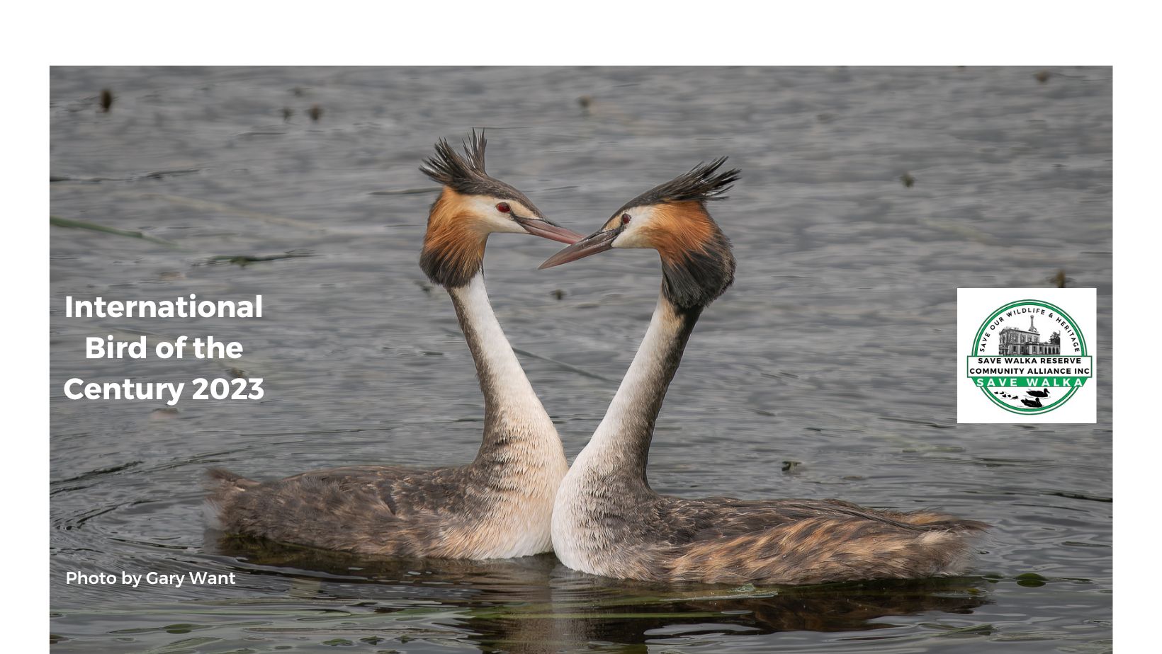 Save Walka Water Works Wildlife Reserve, Save our Heritage | Here are ...