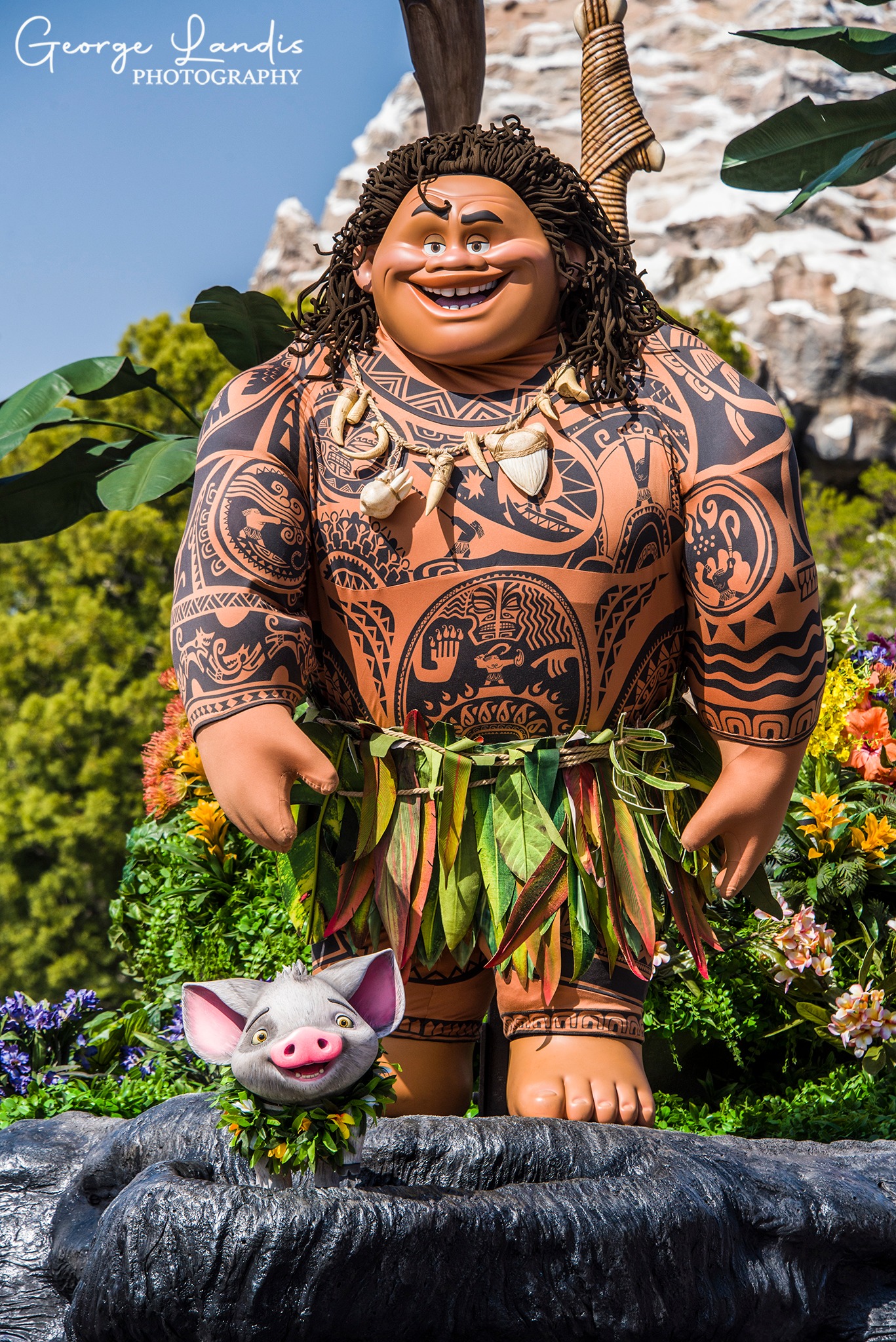 Pua as he appears on the Moana float. Magic Happens Parade