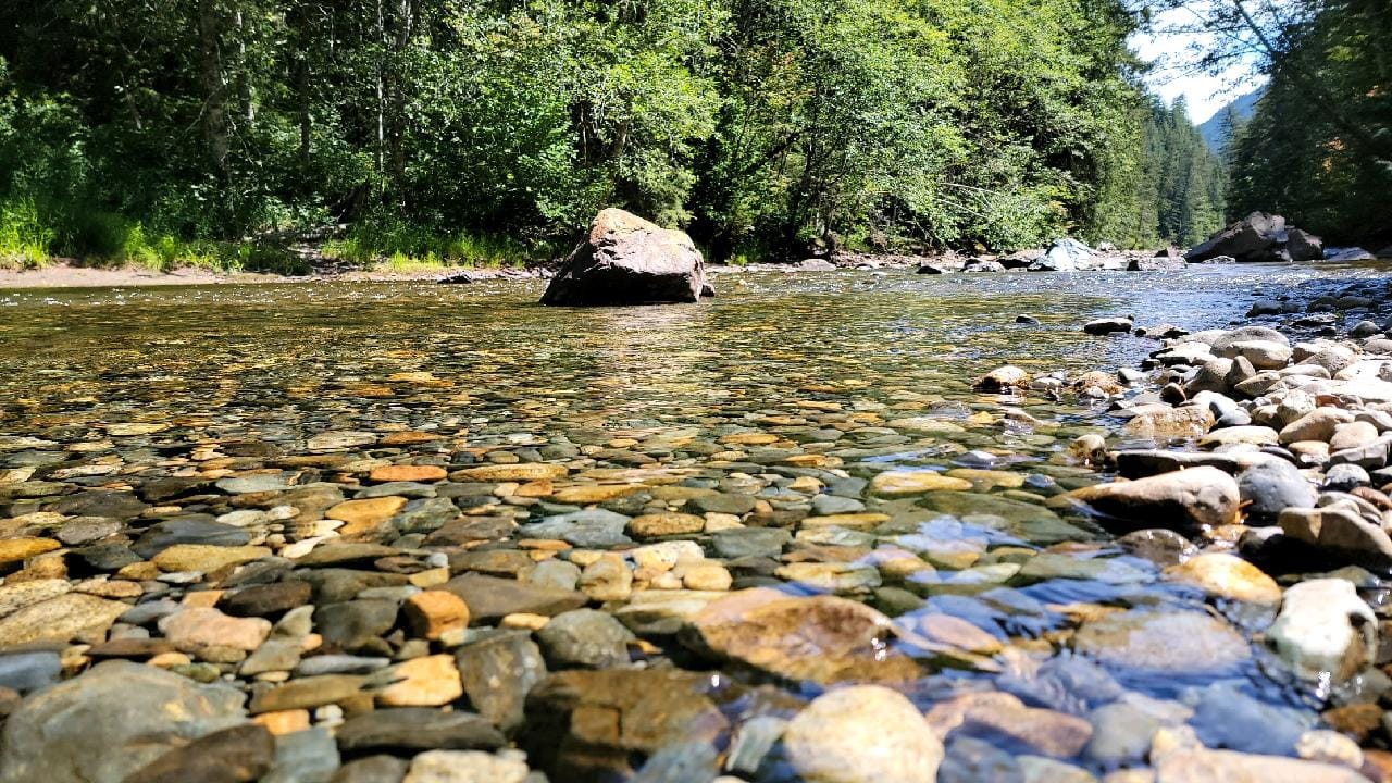 Spent half the day at South Fork Snoqualmie River, Olallie State Park