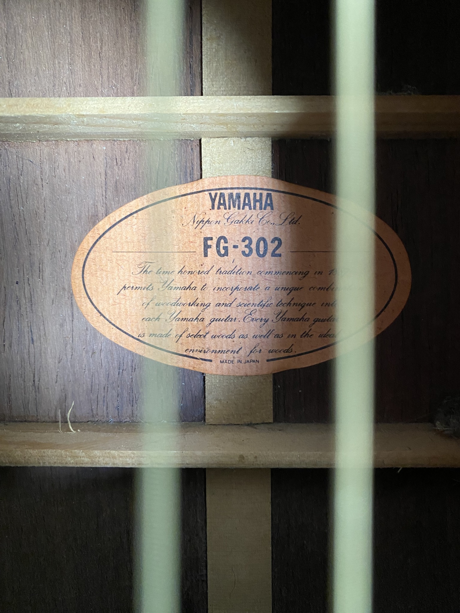 What is the model of the FG 302 guitar?