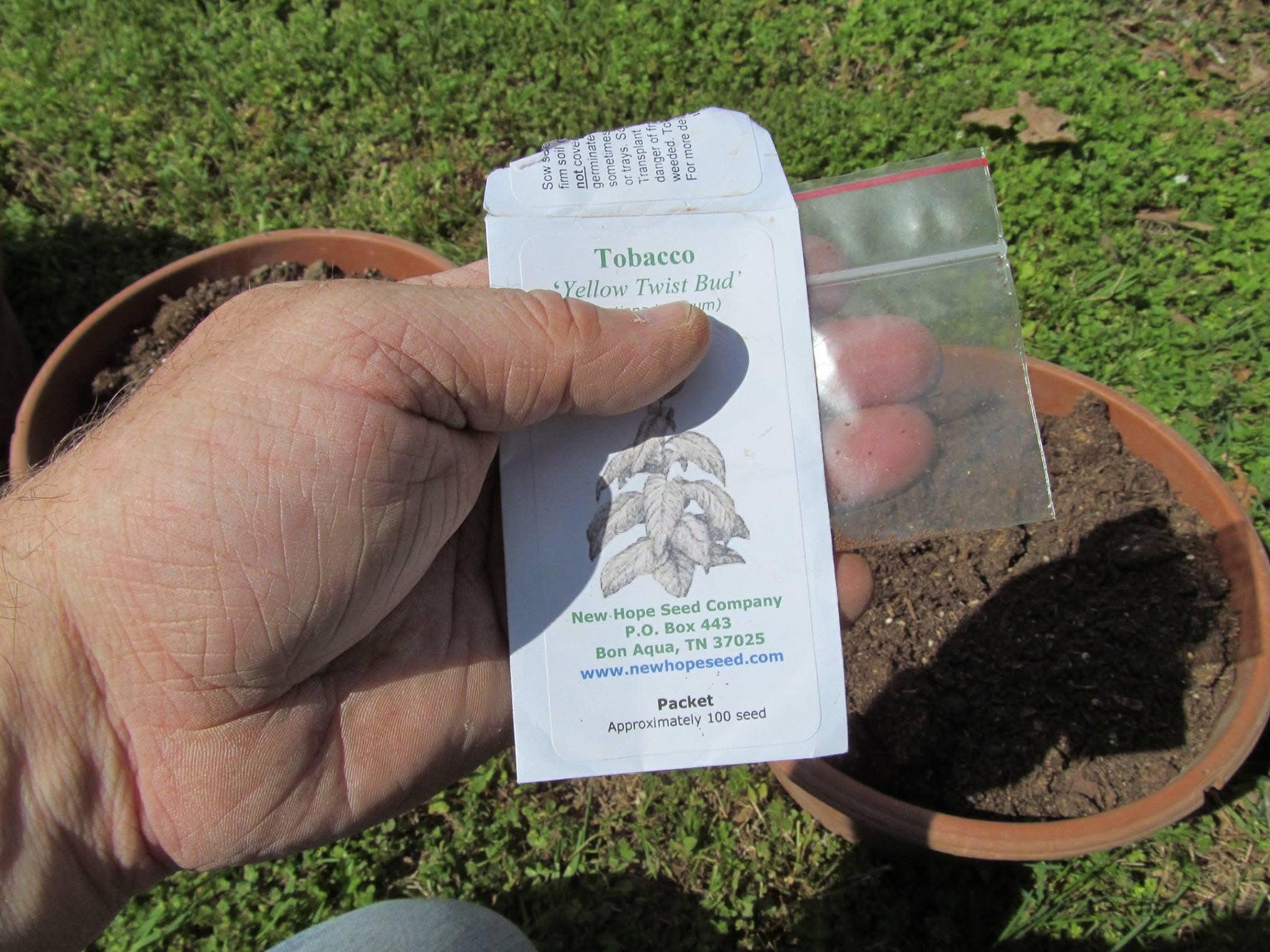 When I first read it, I didn't believe it. Growing tobacco in Idaho? But it  is true, and here is a photograph to prove it. This image was printed in  the October