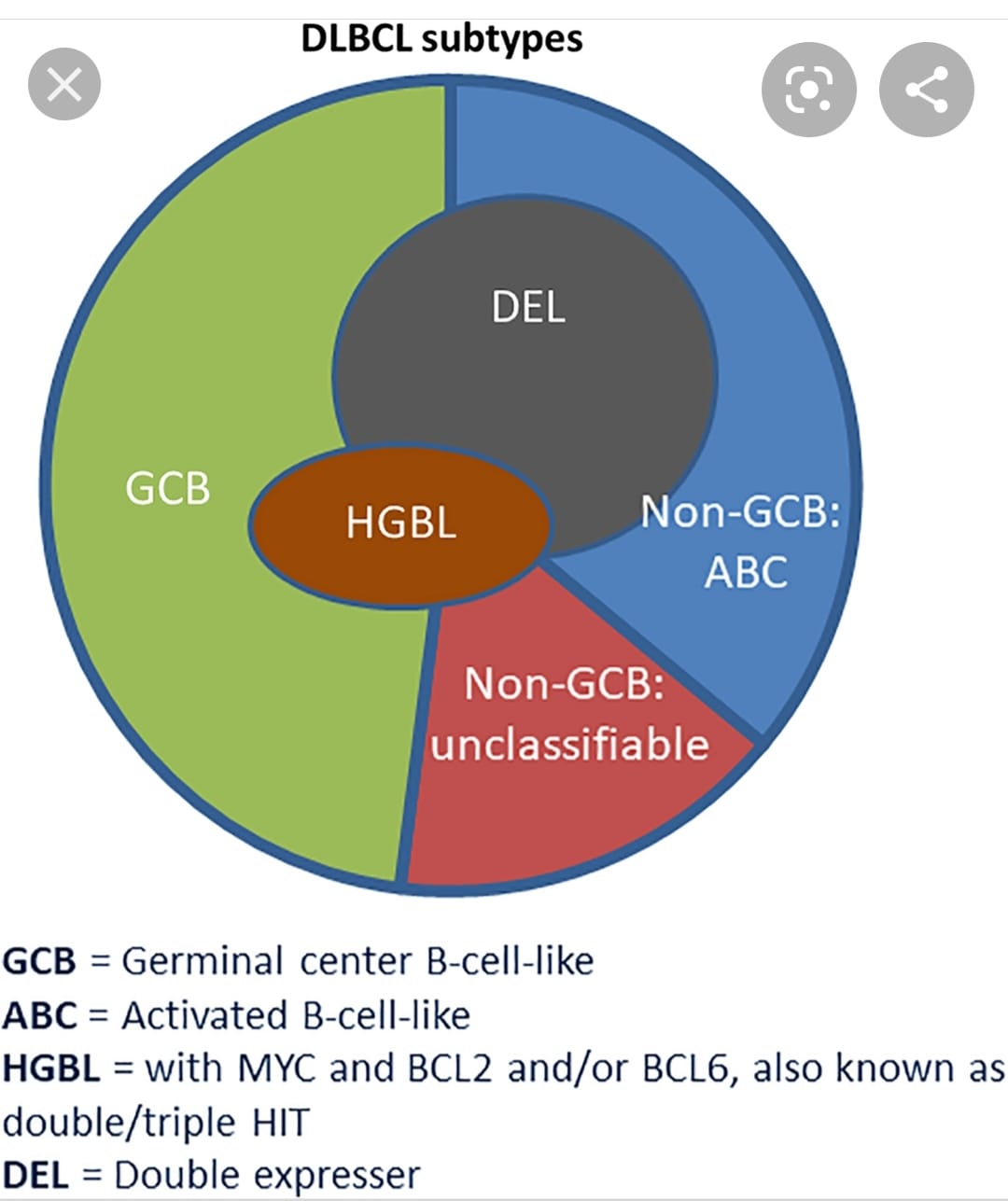 Double/Triple Hit Diffuse Large B Cell Lymphoma (Non-Hodgkins DLBCL ...